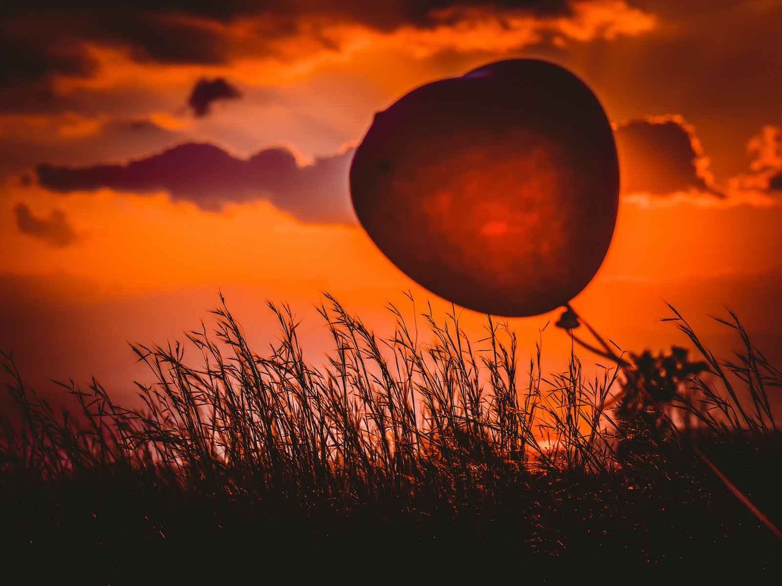 Обои трава, закат, сердце, шарик, heart balloon, grass, sunset, heart, ball разрешение 2048x1365 Загрузить