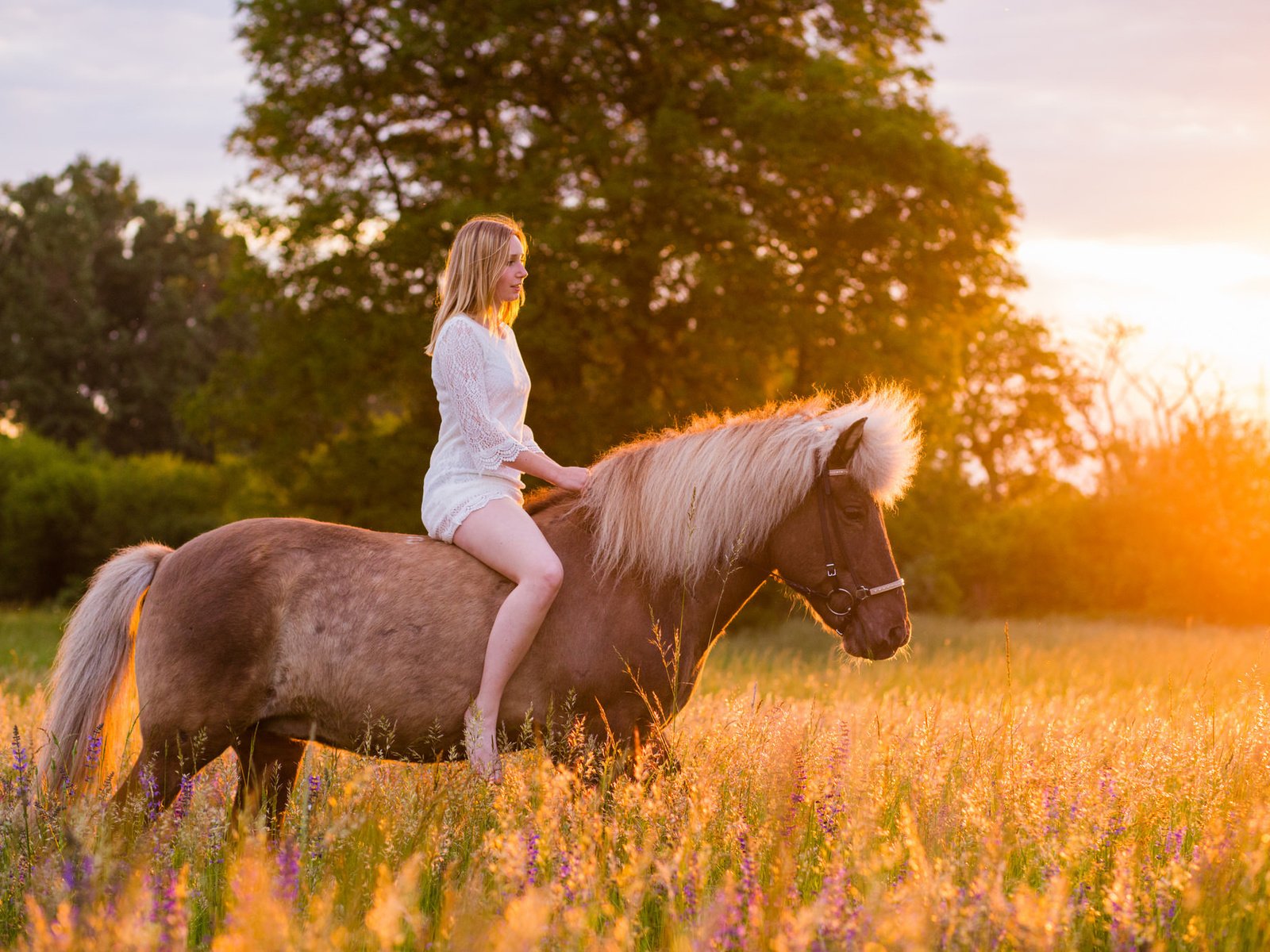 Обои природа, девушка, конь, nature, girl, horse разрешение 2048x1374 Загрузить