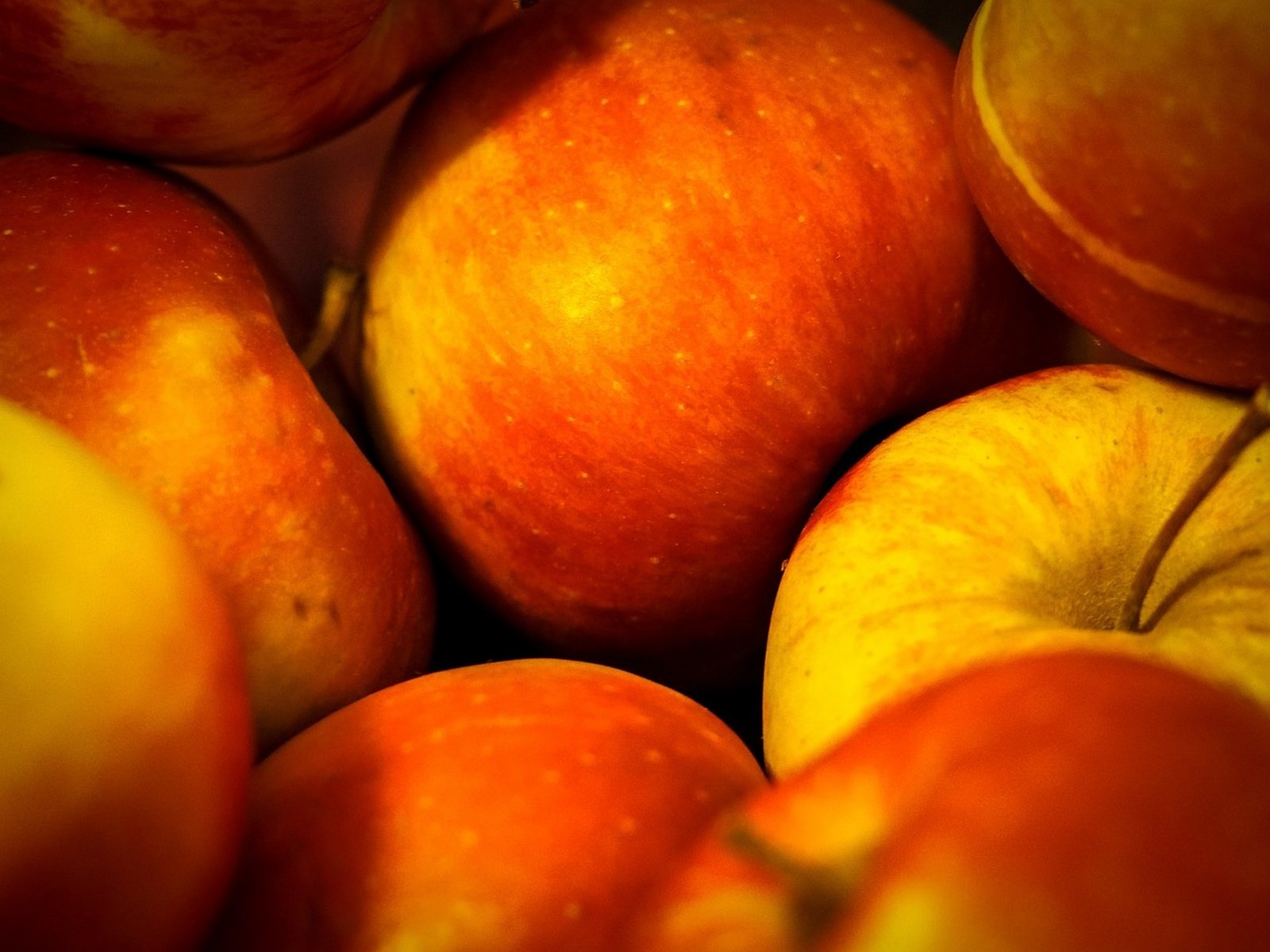 Обои макро, фрукты, яблоки, яблоки красные, macro, fruit, apples, apples are red разрешение 1920x1440 Загрузить