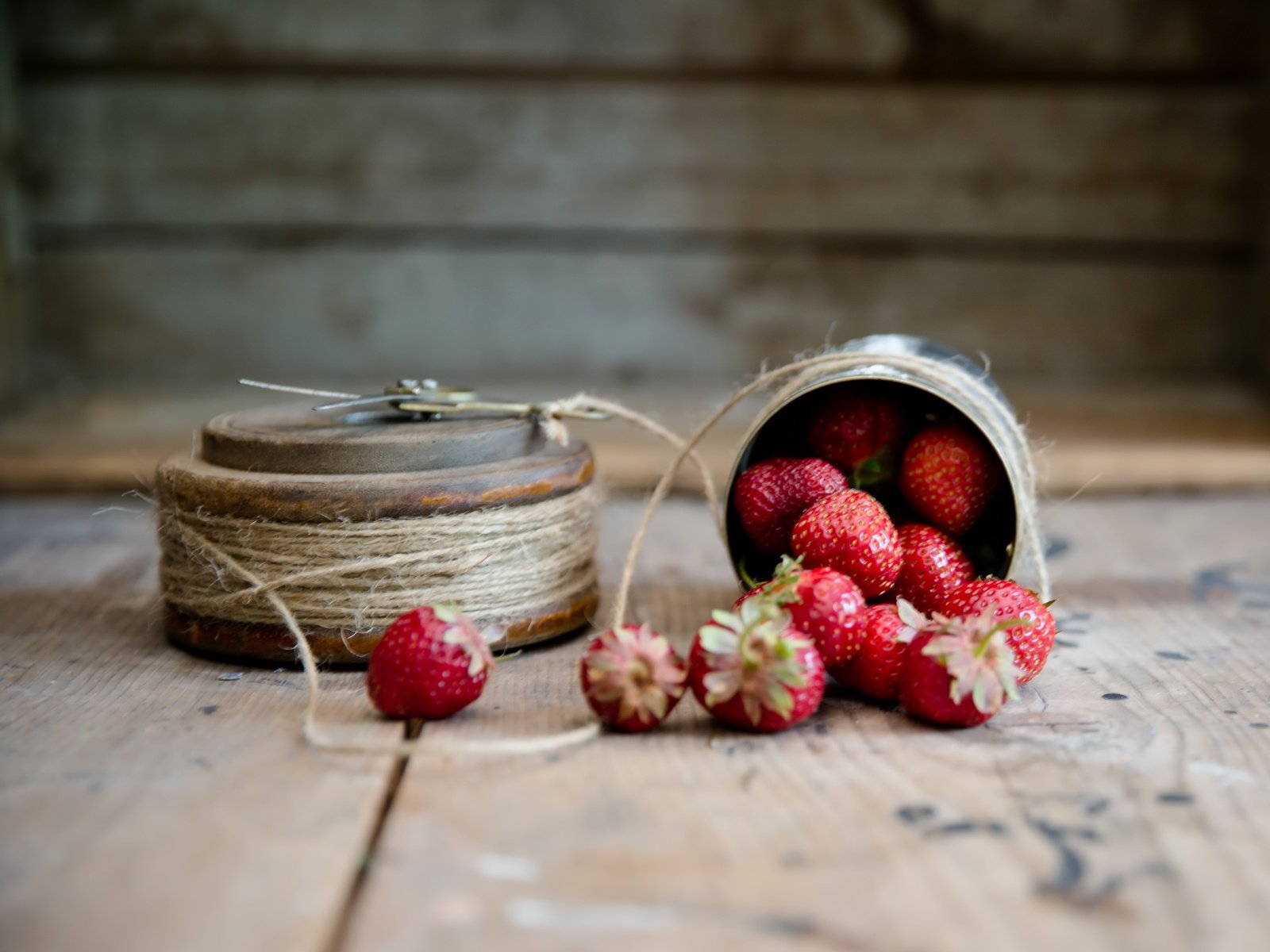 Обои фон, клубника, ягоды, веревка, шпагат, background, strawberry, berries, rope, twine разрешение 4461x3494 Загрузить