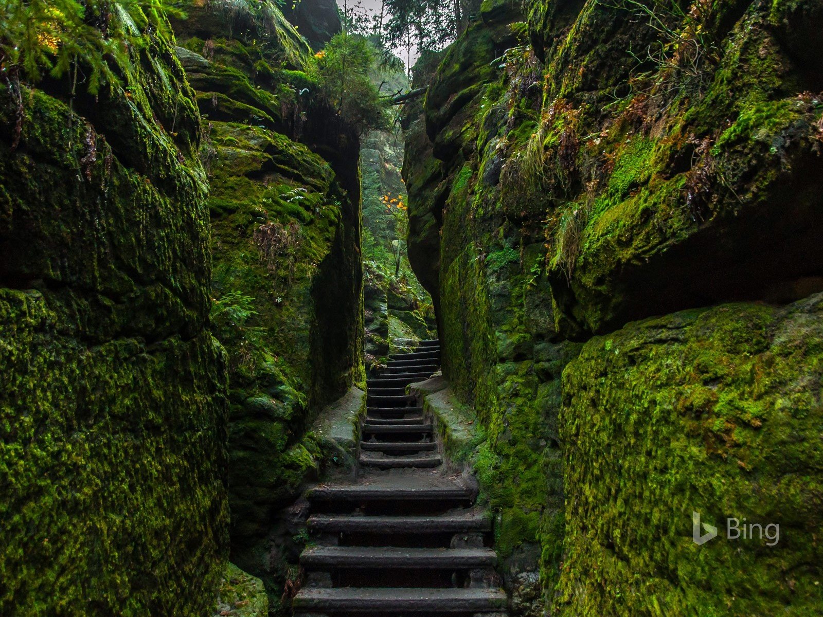 Обои скалы, природа, лестница, bing, rocks, nature, ladder разрешение 1920x1200 Загрузить