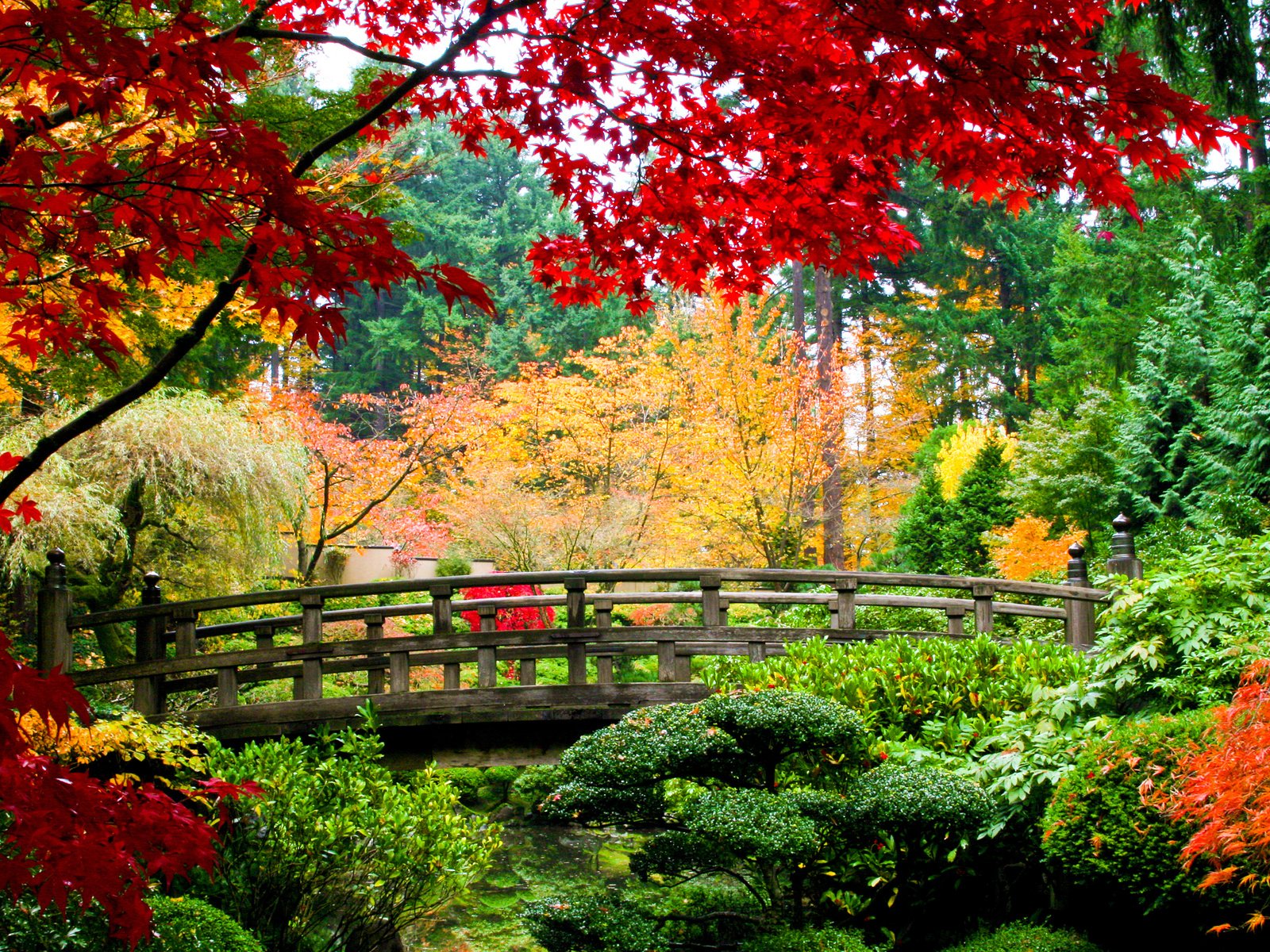 Обои парк, мост, осень, красивая осень, park, bridge, autumn, beautiful autumn разрешение 3000x2003 Загрузить