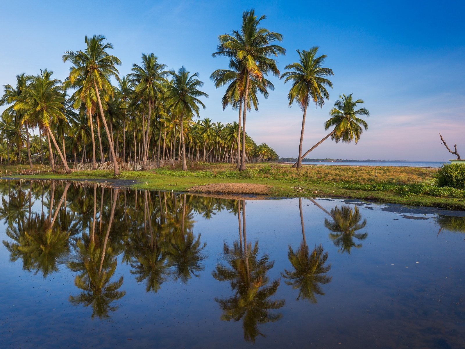 Обои небо, отражение, пейзаж, море, пальмы, пальма, the sky, reflection, landscape, sea, palm trees, palma разрешение 2048x1297 Загрузить