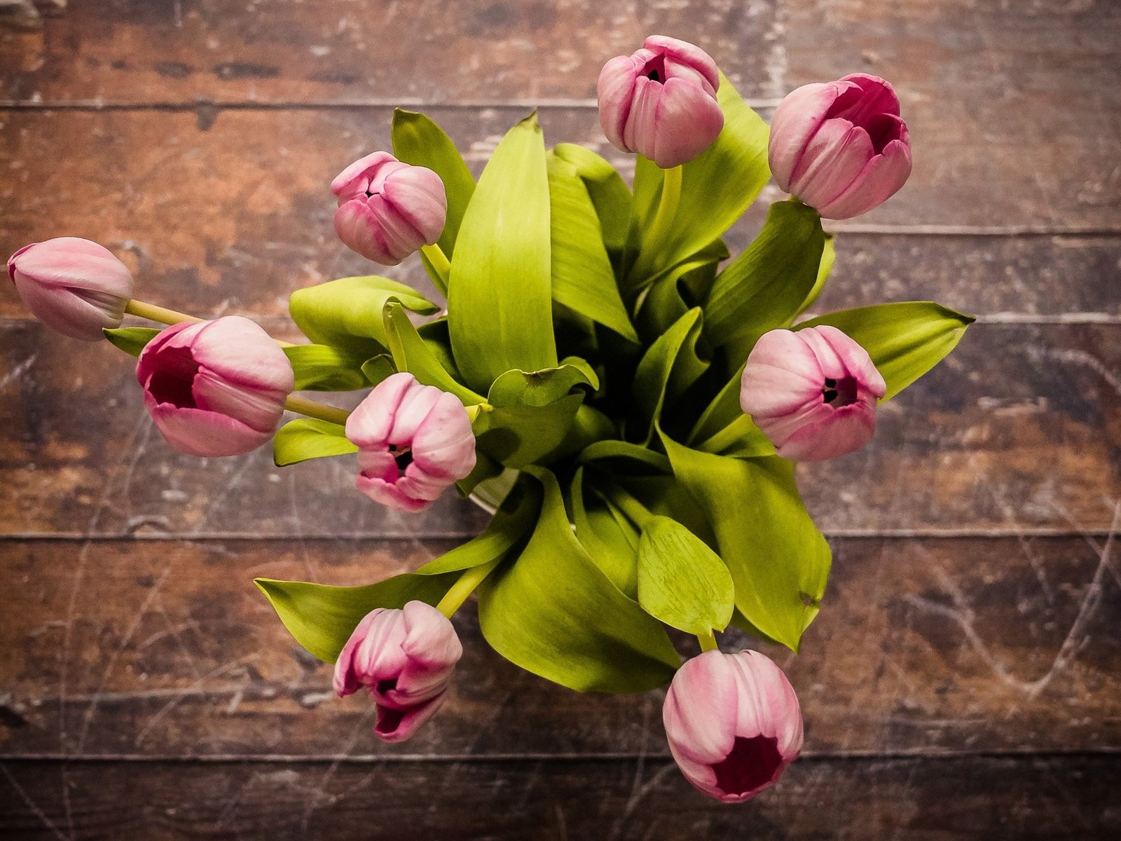 Обои цветы, вид сверху, букет, тюльпаны, розовые, деревянная поверхность, flowers, the view from the top, bouquet, tulips, pink, wooden surface разрешение 2560x1370 Загрузить