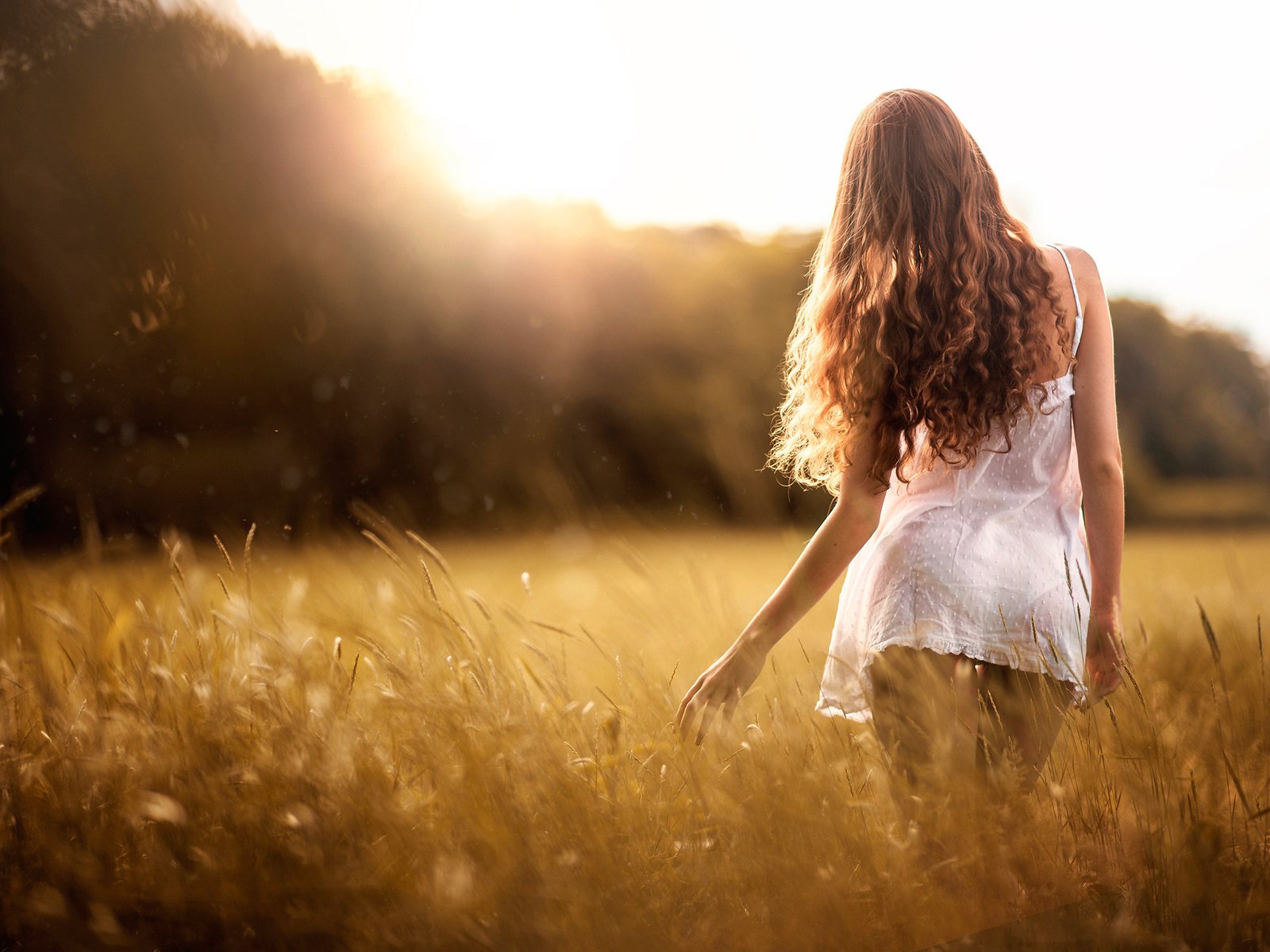 Обои небо, трава, девушка, платье, поле, лето, спина, волосы, the sky, grass, girl, dress, field, summer, back, hair разрешение 2048x1367 Загрузить