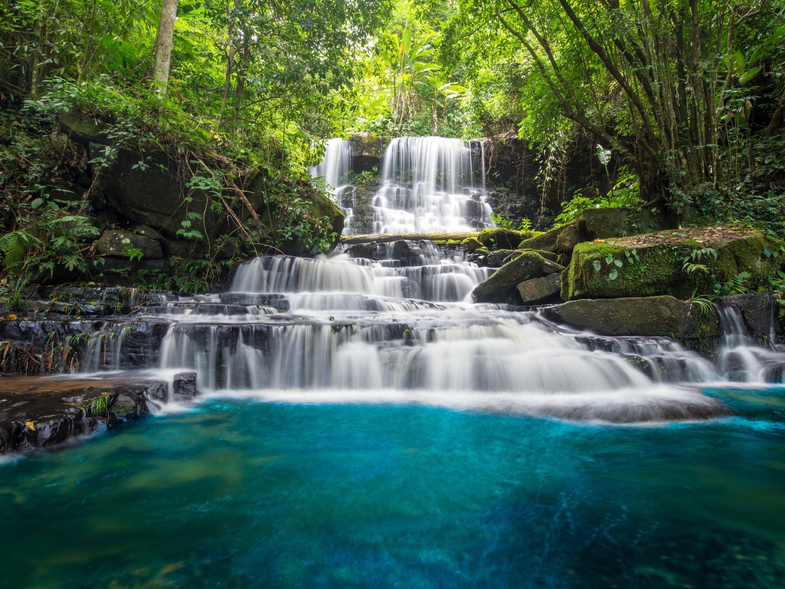 Обои деревья, река, камни, лес, водопад, мох, джунгли, trees, river, stones, forest, waterfall, moss, jungle разрешение 6016x4016 Загрузить