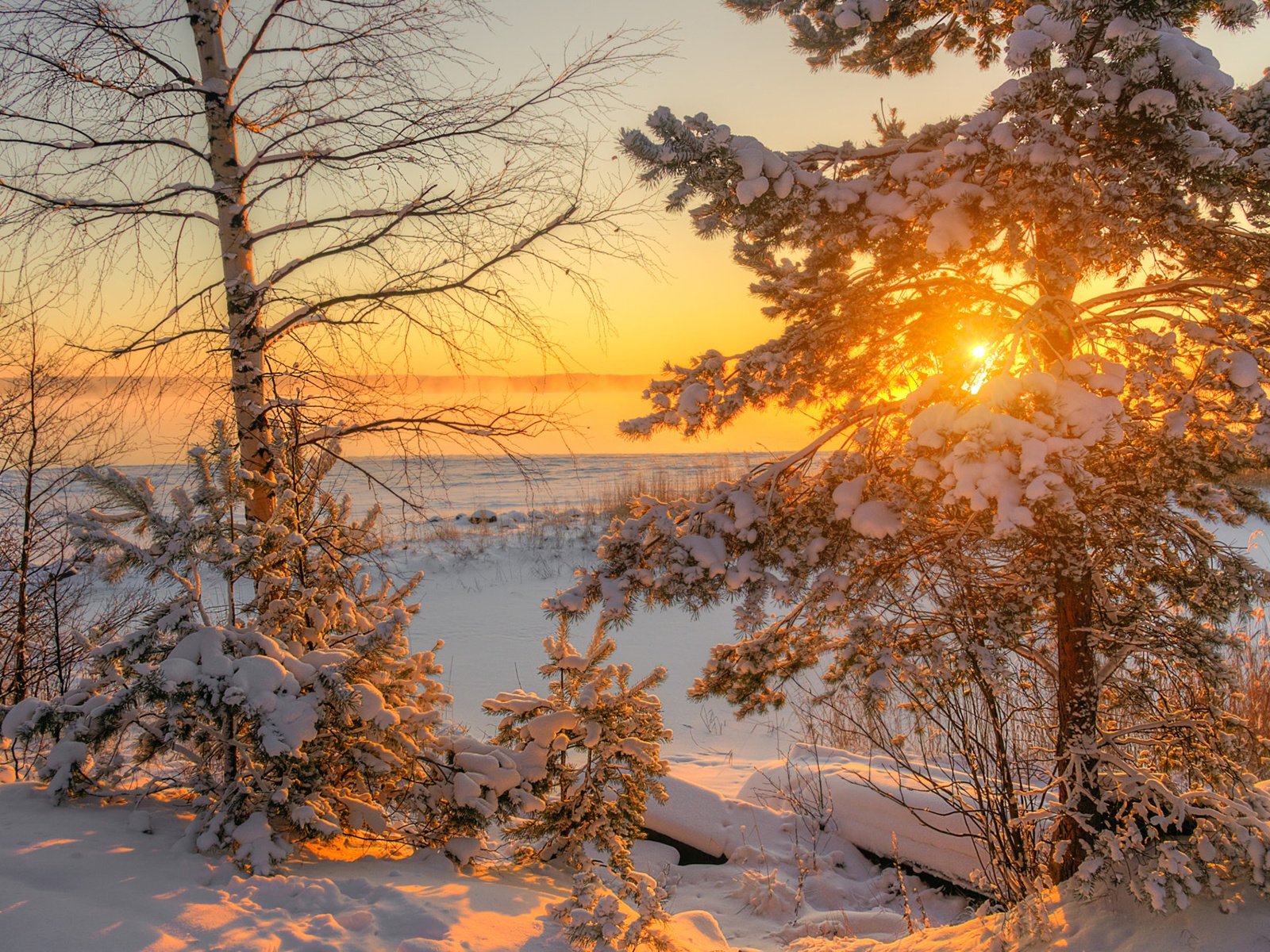 С добрым утром зимняя природа. Зима. Морозное солнце. Зимнее солнце. Солнечный зимний день.