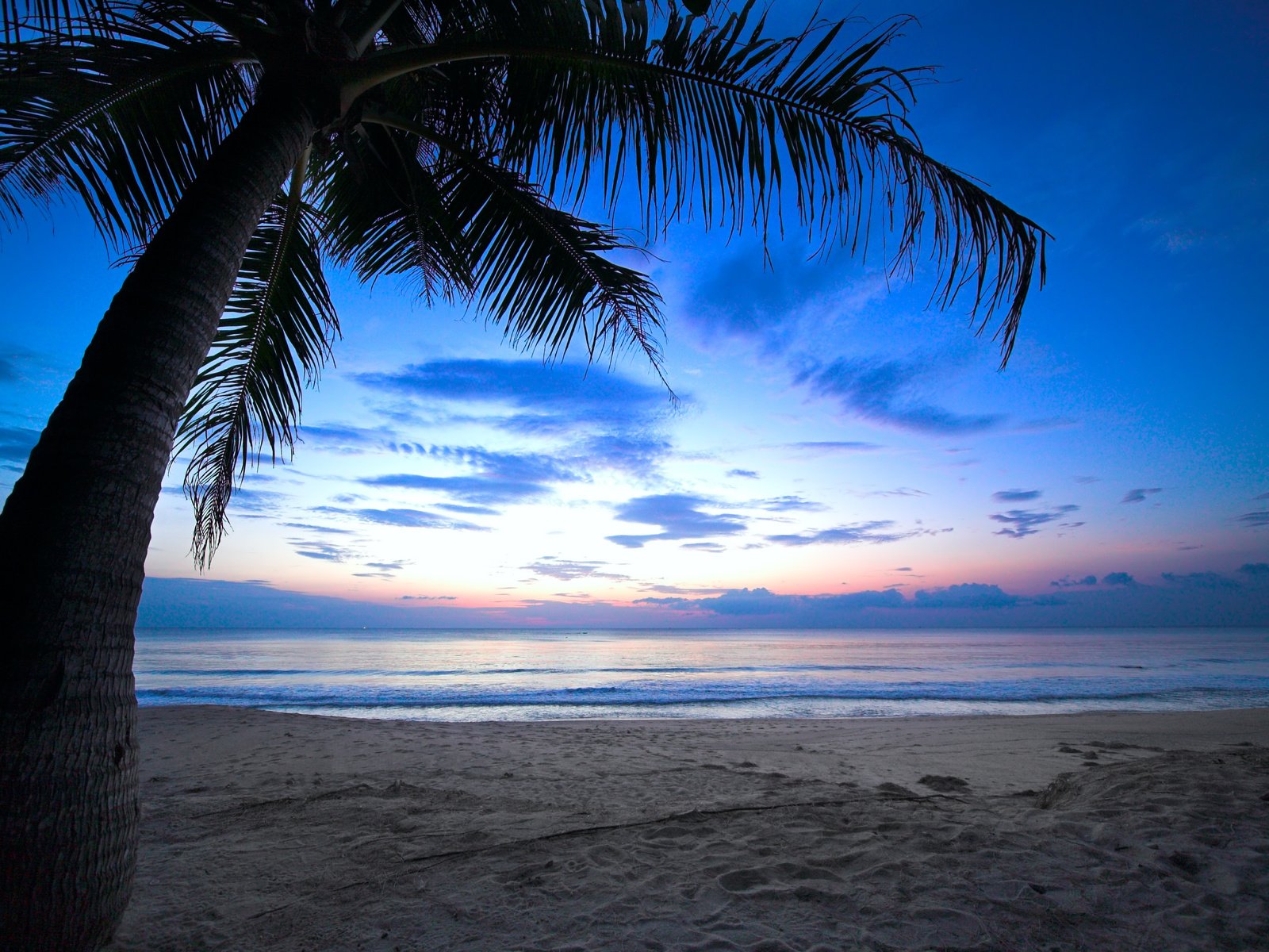 Обои небо, море, песок, пляж, океан, пальма, тропики, пасмурно, the sky, sea, sand, beach, the ocean, palma, tropics, overcast разрешение 8052x5368 Загрузить