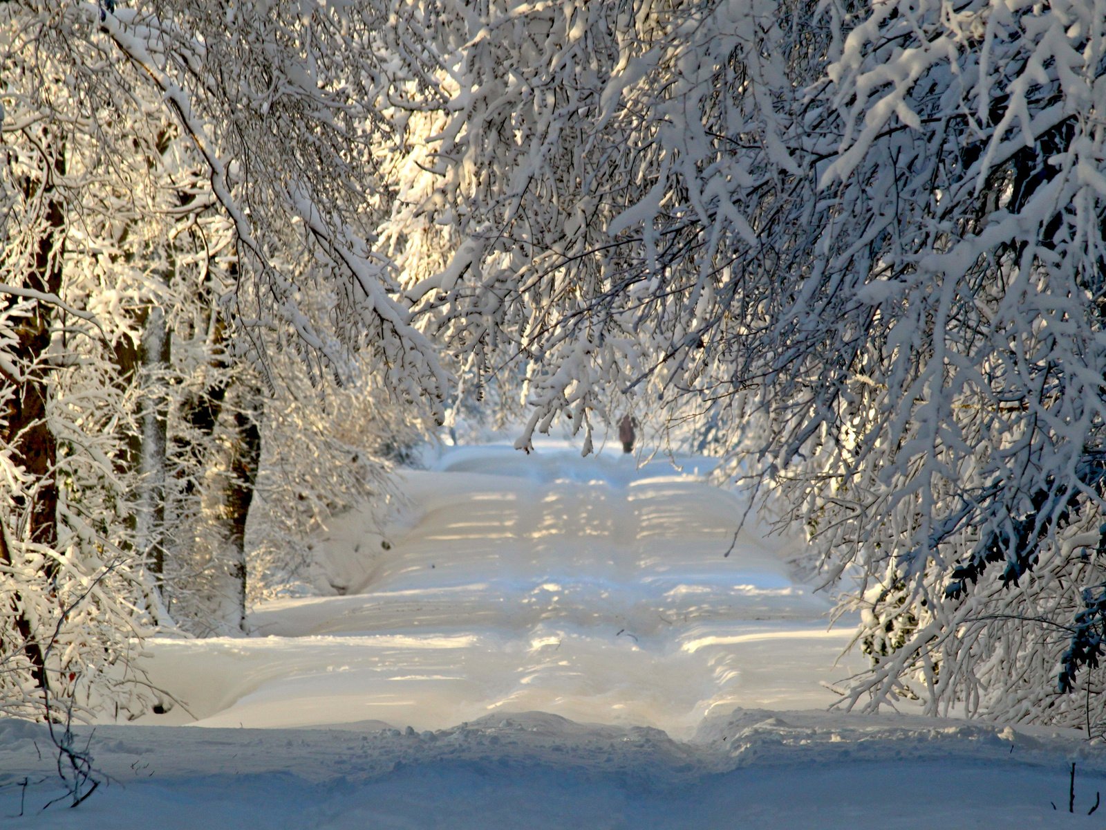 Обои дорога, деревья, снег, природа, лес, зима, ветки, иней, road, trees, snow, nature, forest, winter, branches, frost разрешение 3840x2400 Загрузить