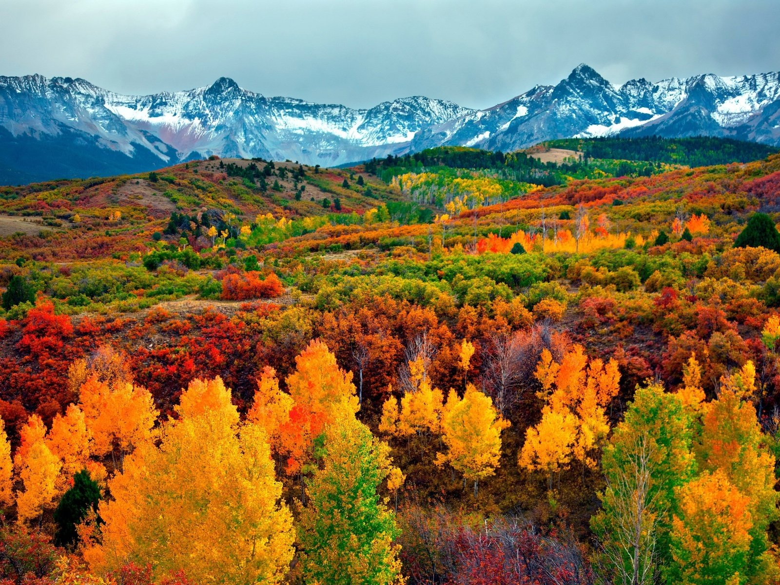 Обои небо, деревья, горы, снег, лес, осень, the sky, trees, mountains, snow, forest, autumn разрешение 3000x2000 Загрузить