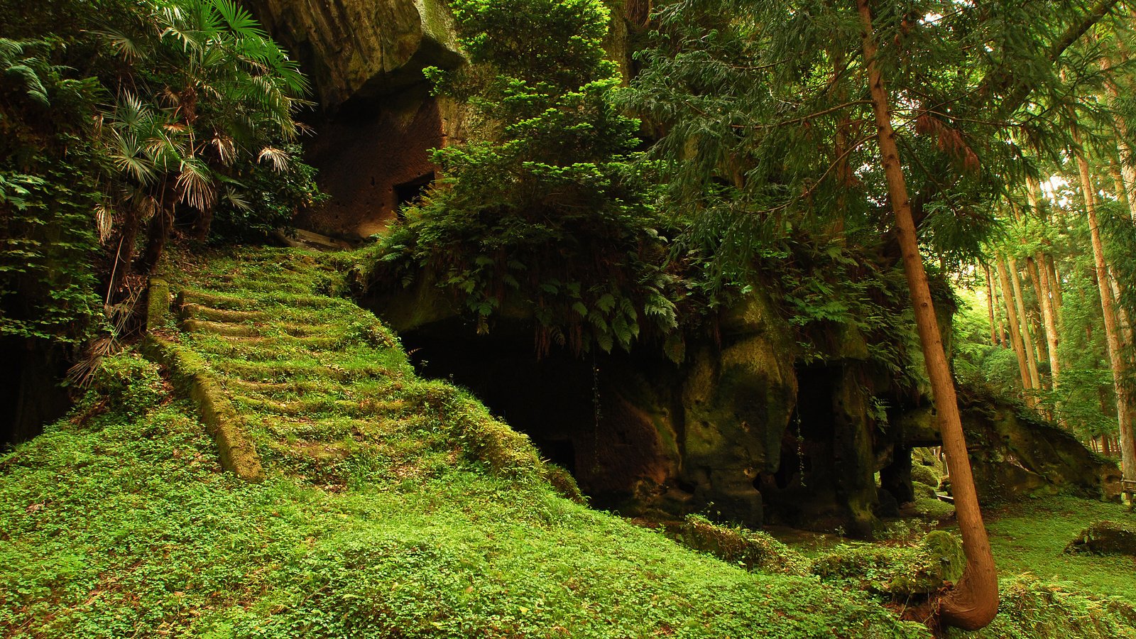 Обои деревья, лес, храм, лестница, ступеньки, руины, мох, trees, forest, temple, ladder, steps, ruins, moss разрешение 2560x1600 Загрузить