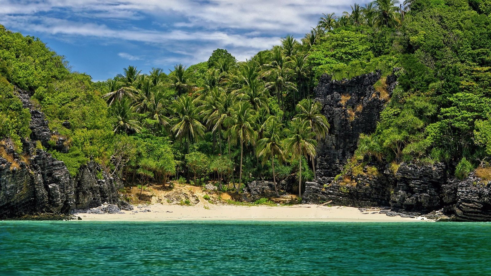 Обои пляж, пальмы, в укромном месте, beach, palm trees, in a secluded place разрешение 1920x1200 Загрузить