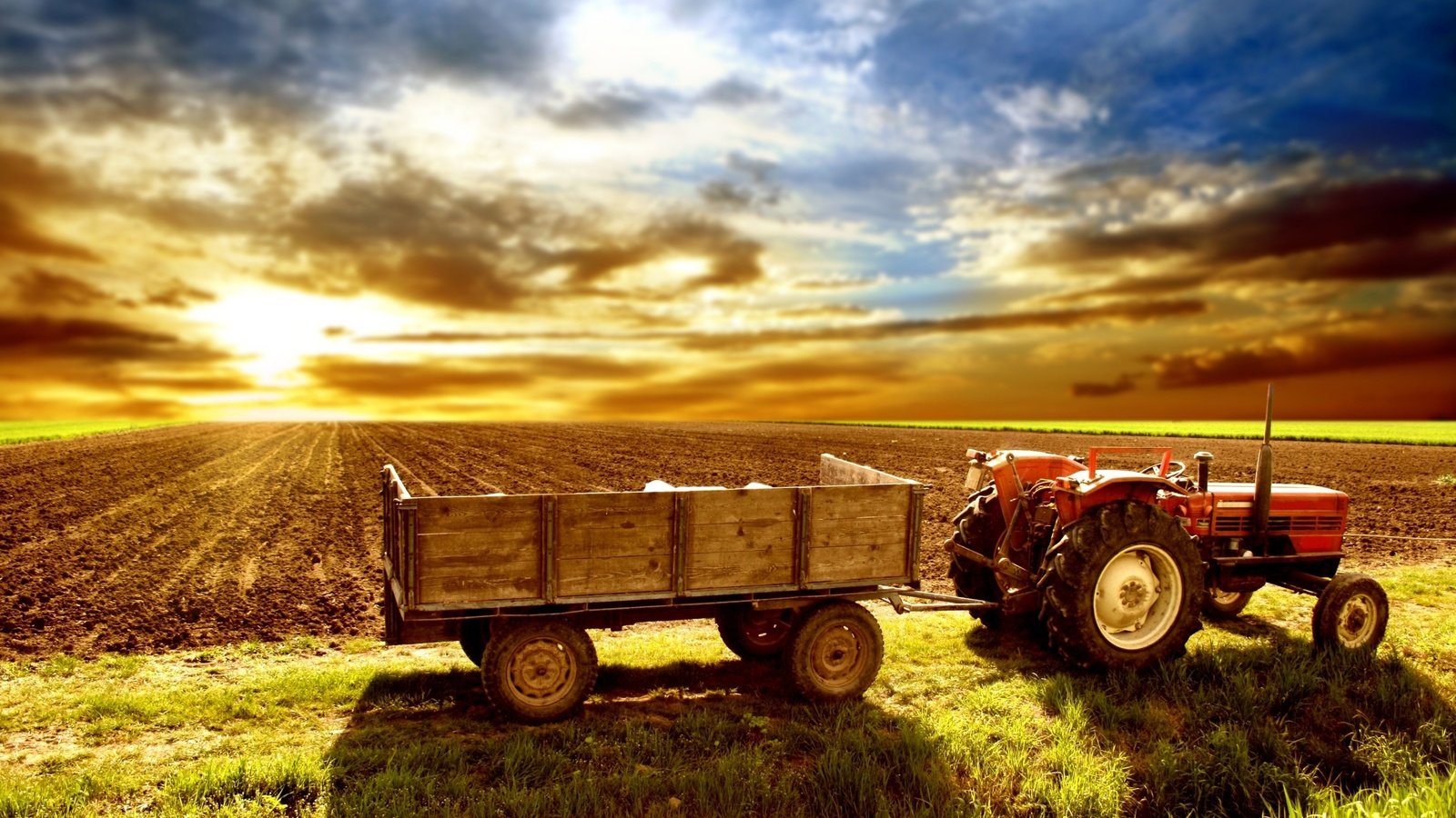 Обои небо, поле, трактор, телега, the sky, field, tractor, cart разрешение 2560x1600 Загрузить