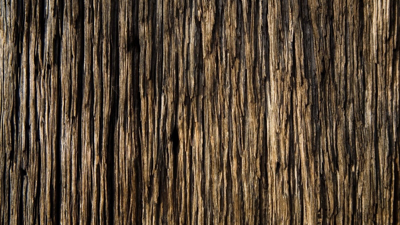 Обои дерево, текстура, доска, обоя, древесина, красивая, tree, texture, board, wallpaper, wood, beautiful разрешение 2048x1122 Загрузить
