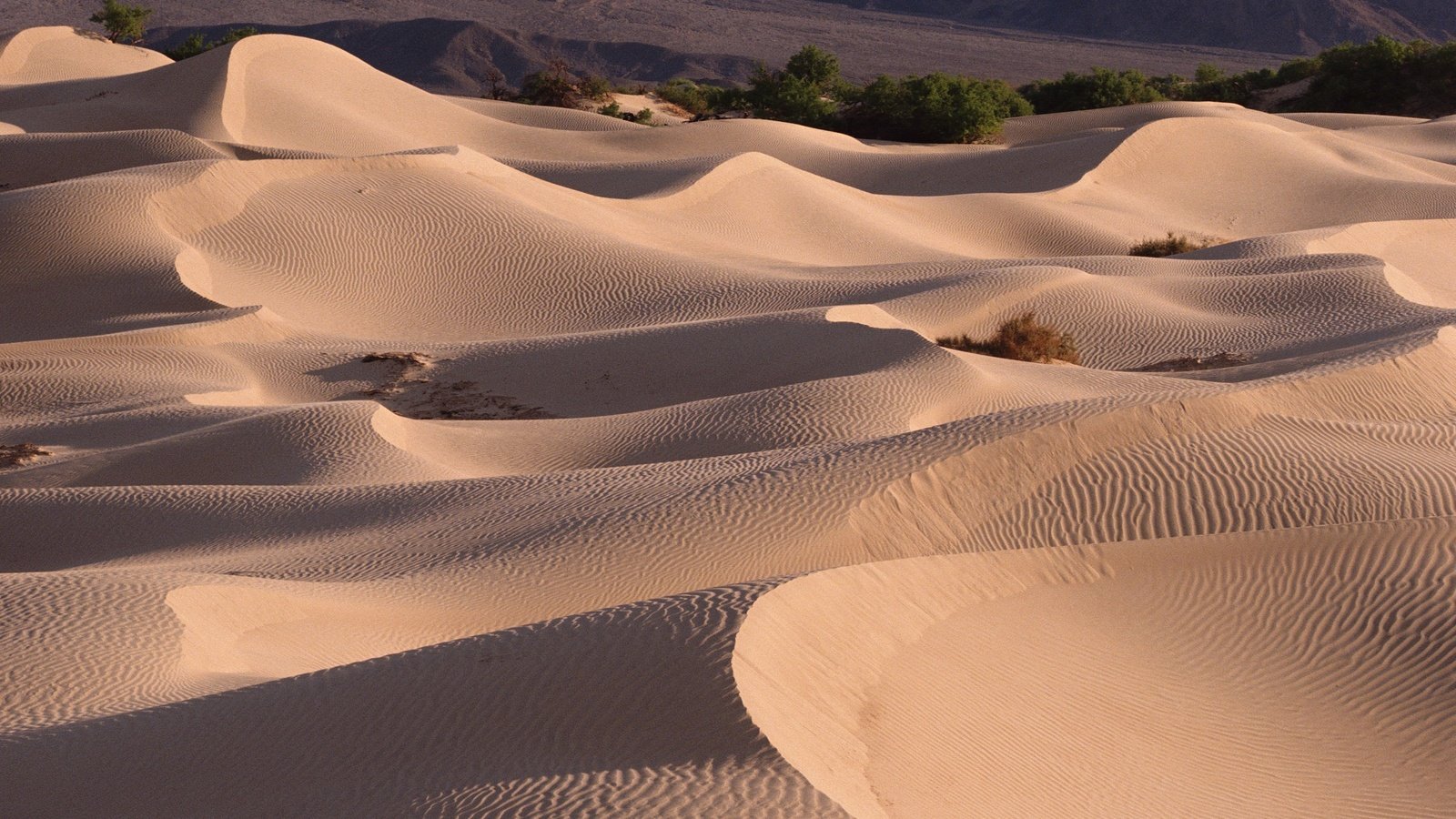 Обои песок, пустыня, барханы, sand, desert, the dunes разрешение 2295x1536 Загрузить