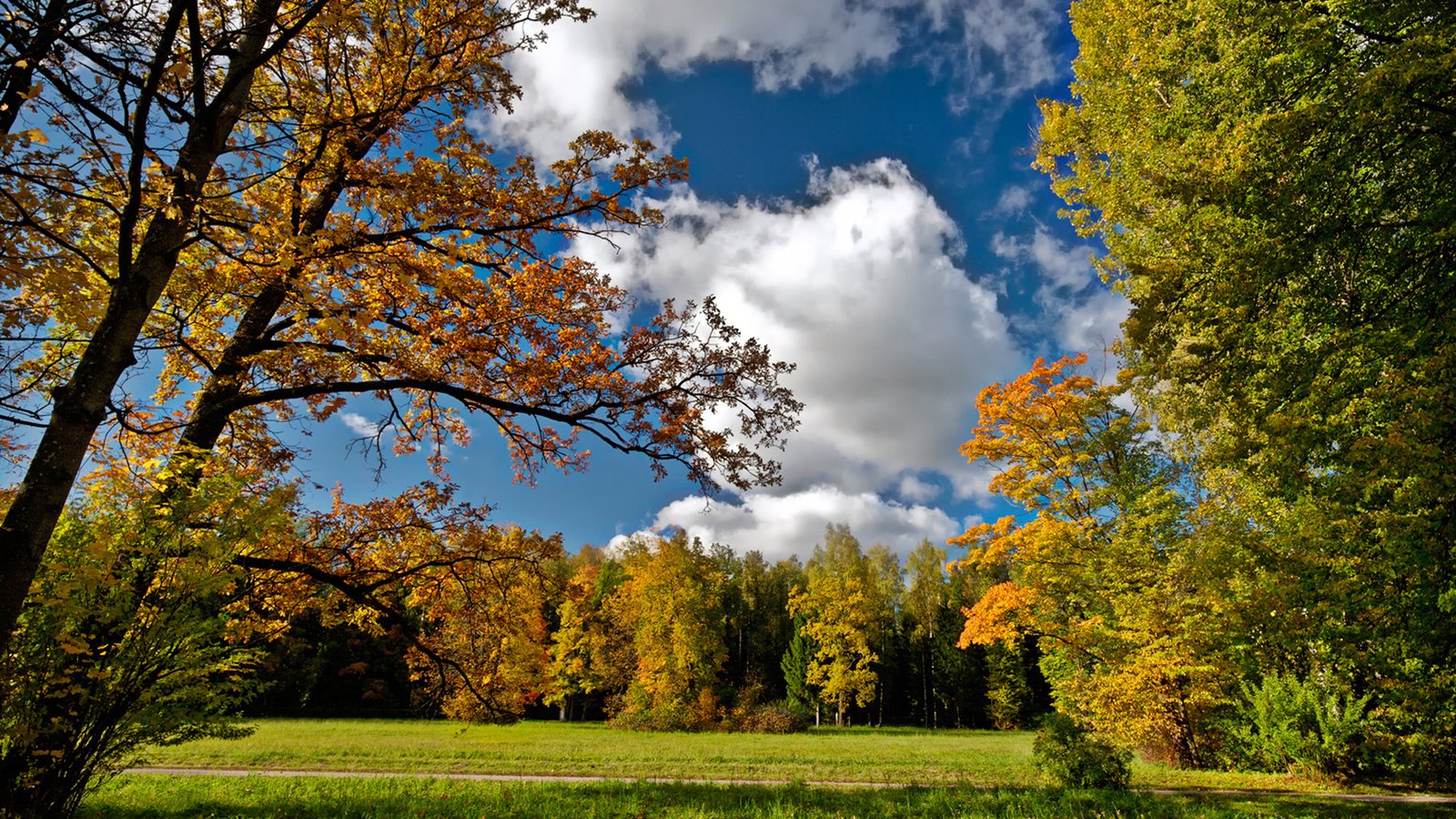 Обои небо, дорога, облака, осень, посадка, осен, the sky, road, clouds, autumn, landing разрешение 1920x1200 Загрузить