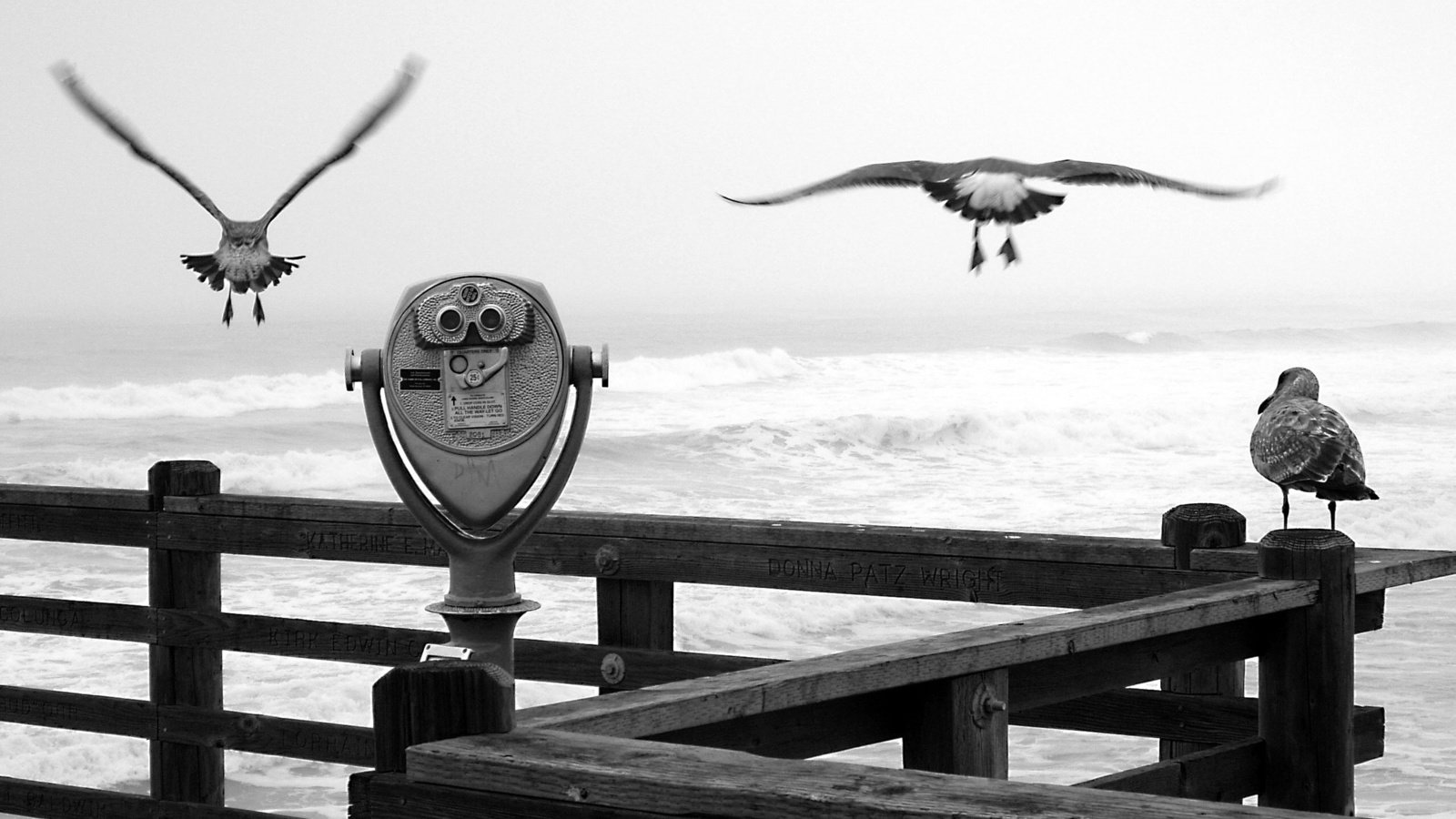 Обои причал, черно-белая, чайки, бинокль, pier, black and white, seagulls, binoculars разрешение 2560x1600 Загрузить