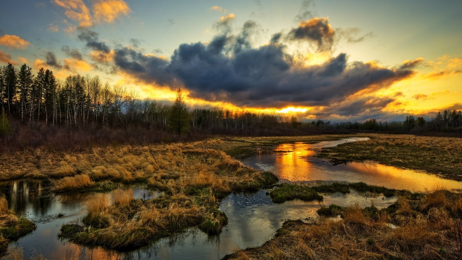 Обои трава, облака, вода, природа, болото, закат, тучи, ручей, grass, clouds, water, nature, swamp, sunset, stream разрешение 2560x1600 Загрузить