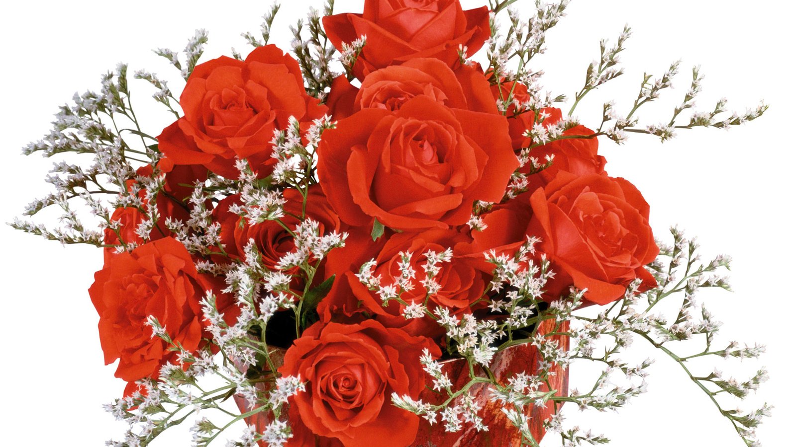Обои розы, наступающим, роза, красные, букет, всех, с, женщин, днём, roses, coming, rose, red, bouquet, all, with, women, day разрешение 1920x1200 Загрузить