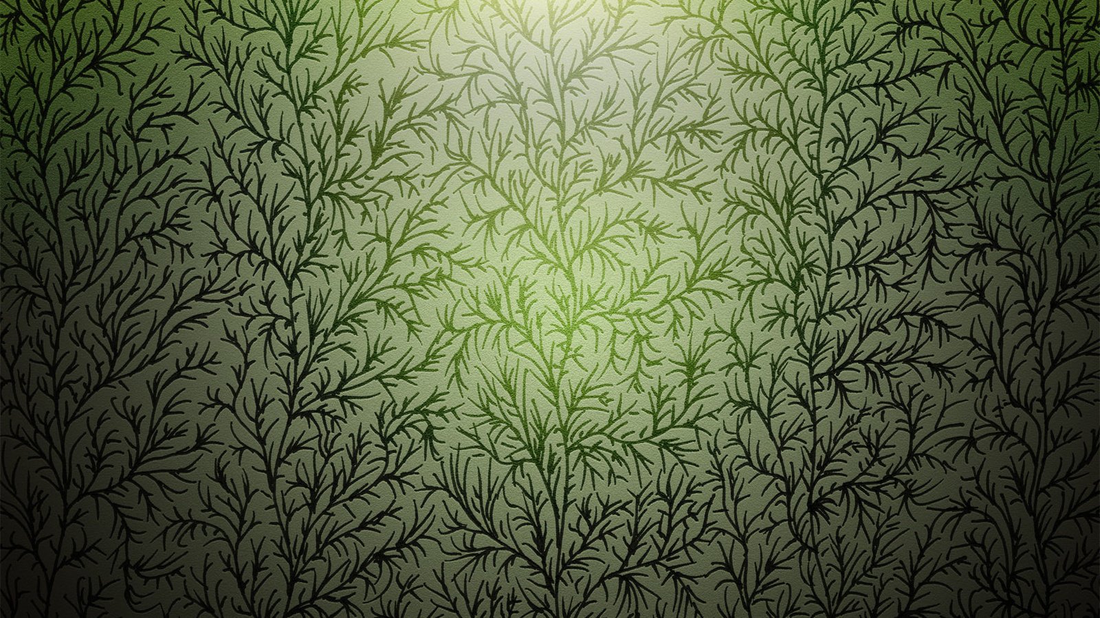 Обои текстура, зелёный, ветки, узор, стебли, растение, растительность, texture, green, branches, pattern, stems, plant, vegetation разрешение 1920x1200 Загрузить