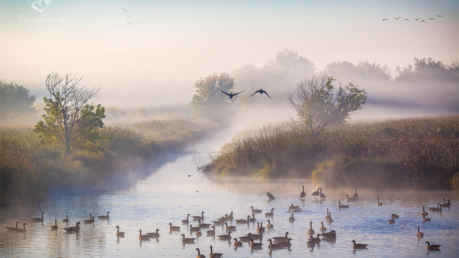 Обои река, утро, туман, осень, утки, октябрь, river, morning, fog, autumn, duck, october разрешение 1920x1200 Загрузить