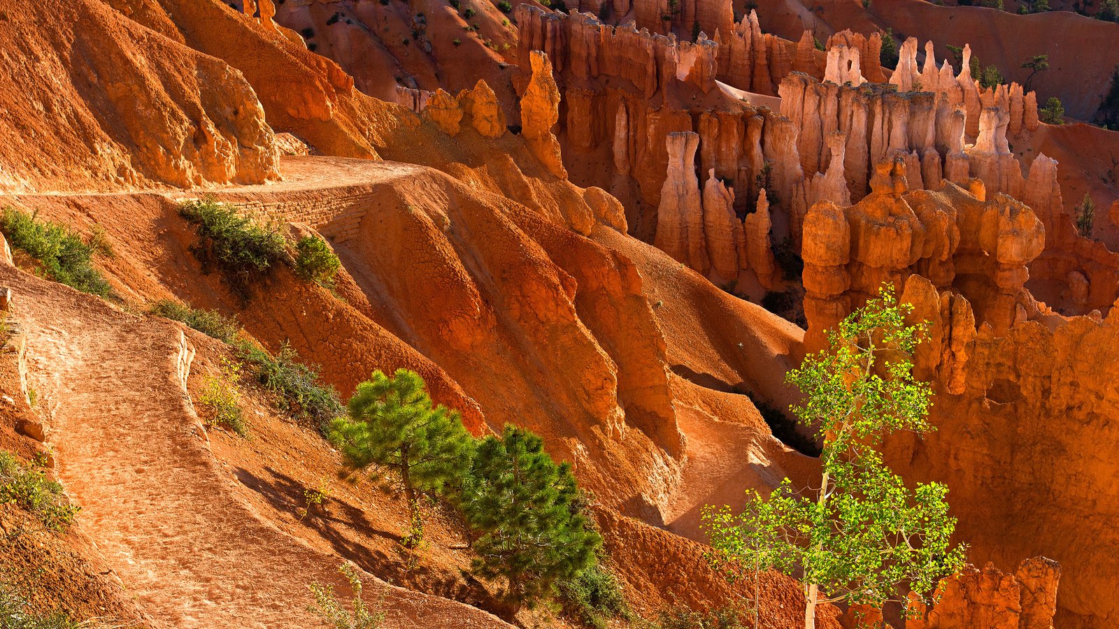 Обои деревья, горы, скалы, камни, каньон, trees, mountains, rocks, stones, canyon разрешение 2048x1365 Загрузить