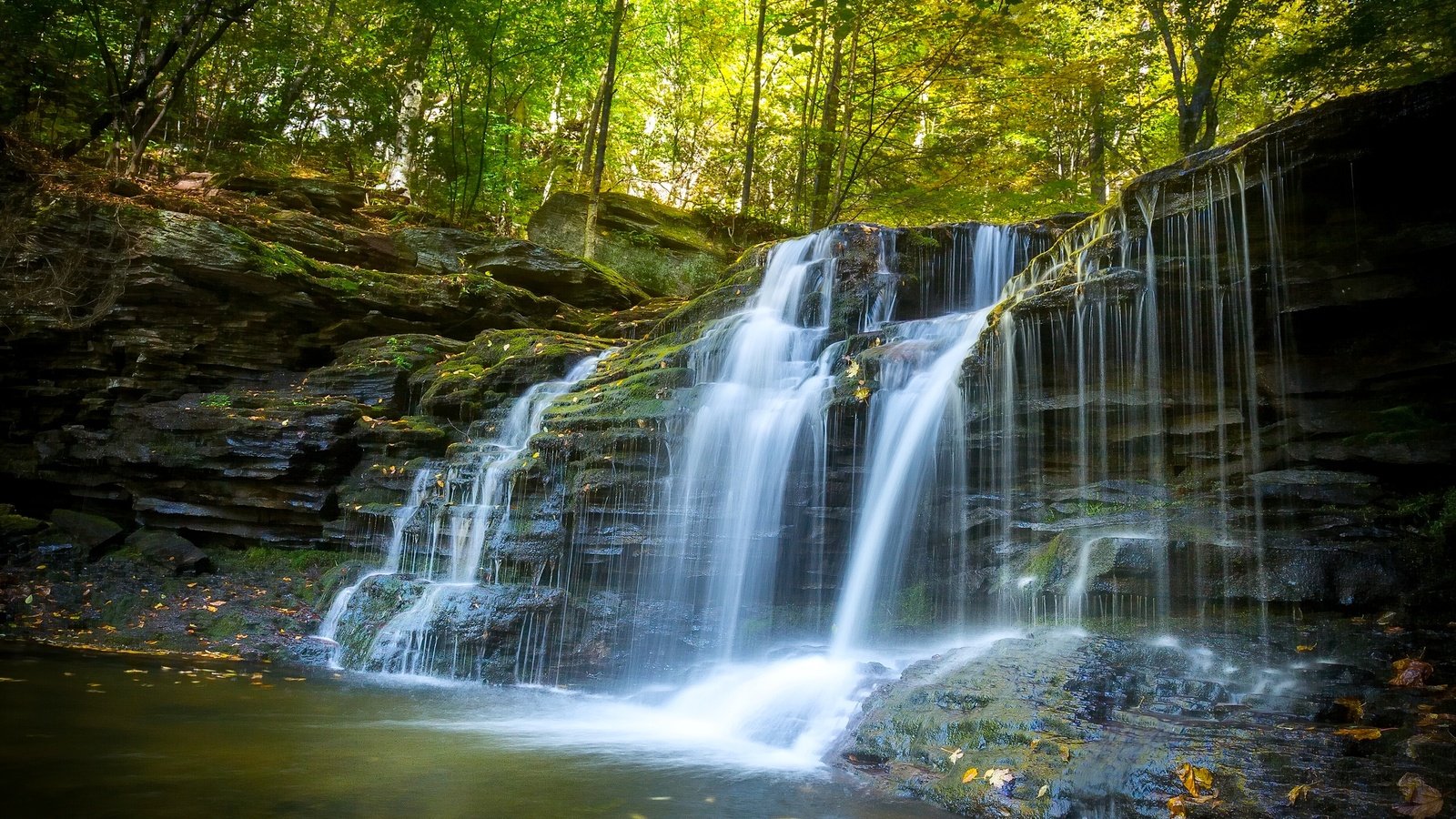 Обои лес, водопад, осень, пенсильвания, каскад, forest, waterfall, autumn, pa, cascade разрешение 2560x1920 Загрузить