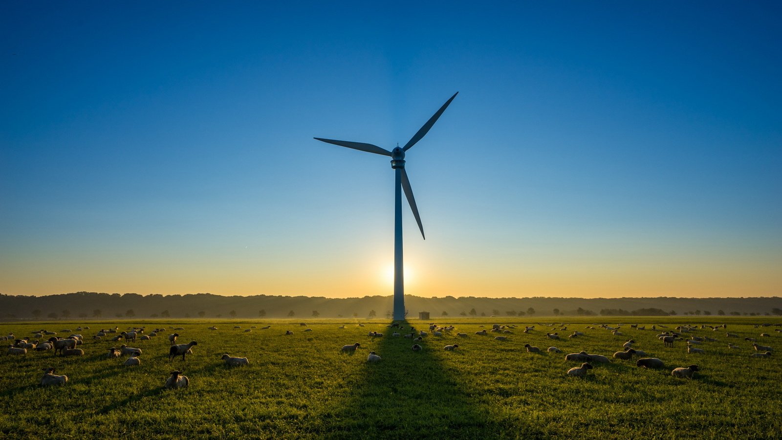 Обои небо, утро, поле, ветряк, овцы, ветряная турбина, the sky, morning, field, windmill, sheep, wind turbine разрешение 1920x1080 Загрузить