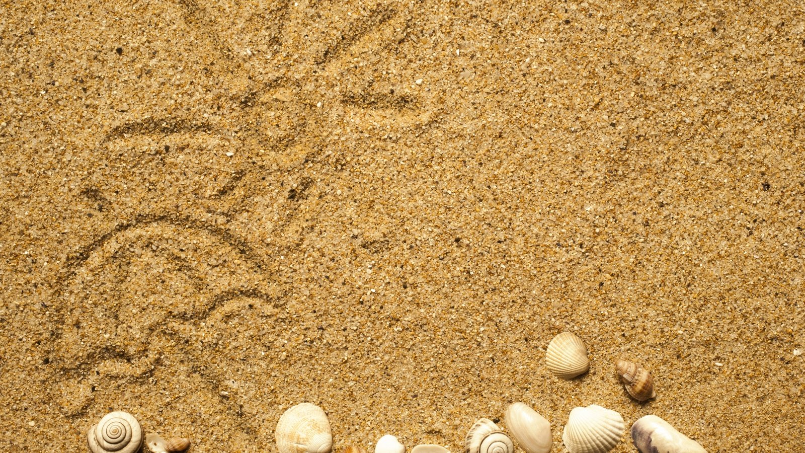 Обои рисунок, солнце, текстура, песок, пляж, ракушки, figure, the sun, texture, sand, beach, shell разрешение 4937x3552 Загрузить