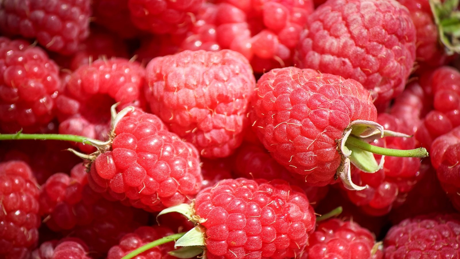 Обои макро, малина, ягоды, macro, raspberry, berries разрешение 2600x1670 Загрузить