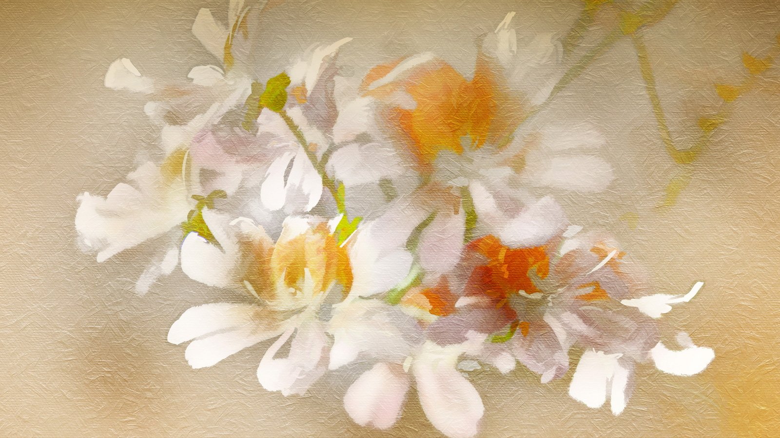 Обои цветы, текстура, фон, flowers, texture, background разрешение 2560x1707 Загрузить