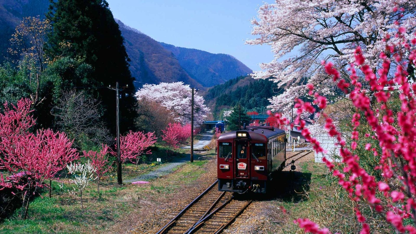 Обои горы, цветение, япония, весна, поезд, префектура гумма, mountains, flowering, japan, spring, train, gunma prefecture разрешение 1920x1080 Загрузить