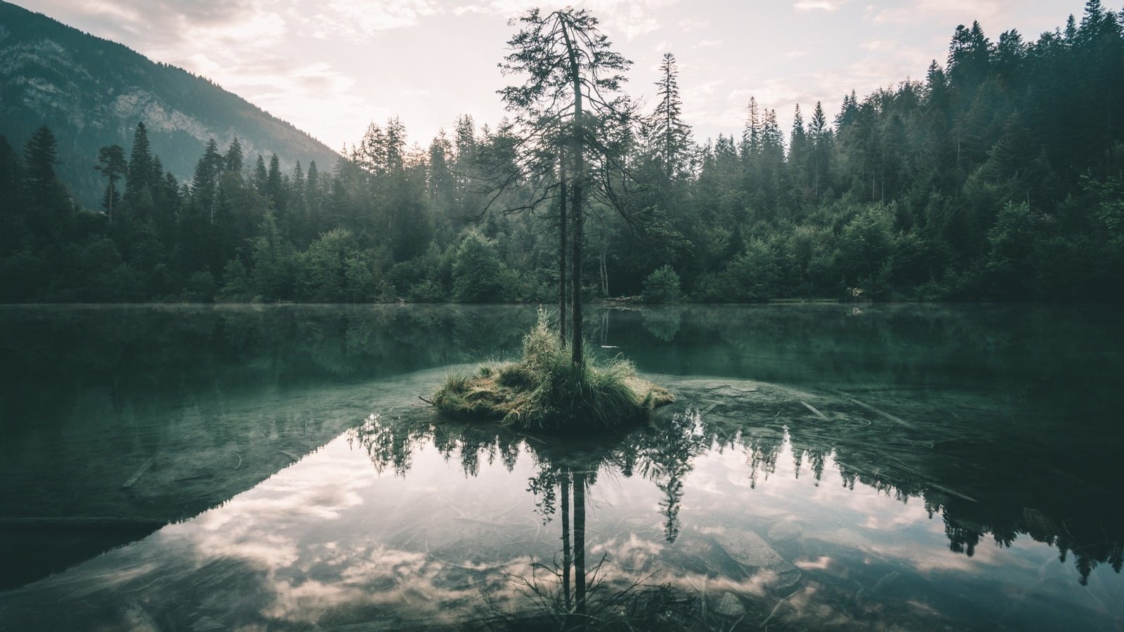 Обои небо, озеро, дерево, лес, отражение, ветки, the sky, lake, tree, forest, reflection, branches разрешение 2048x1365 Загрузить