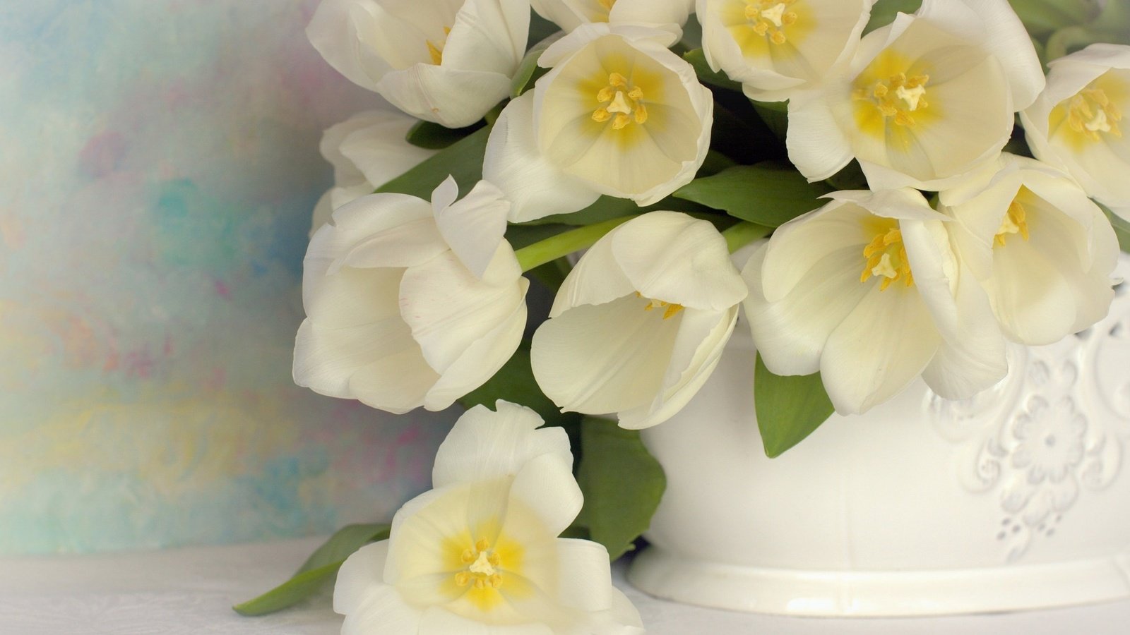 Обои цветы, букет, тюльпаны, белые, ваза, flowers, bouquet, tulips, white, vase разрешение 2048x1365 Загрузить