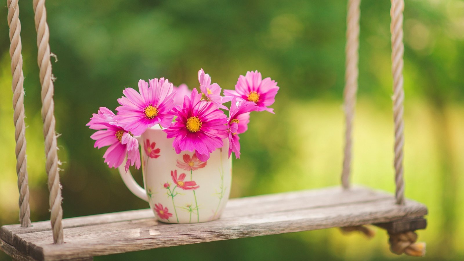 Обои цветы, природа, фон, розовые, чашка, качели, космея, flowers, nature, background, pink, cup, swing, kosmeya разрешение 2000x1335 Загрузить