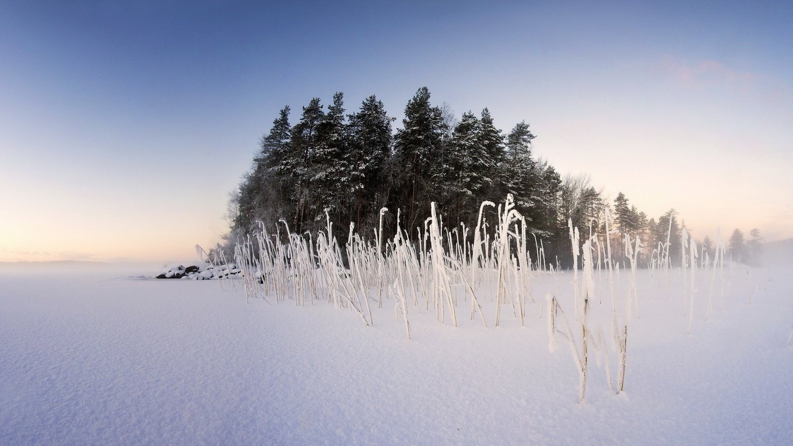 Обои небо, деревья, снег, природа, растения, зима, пейзаж, туман, the sky, trees, snow, nature, plants, winter, landscape, fog разрешение 1920x1080 Загрузить