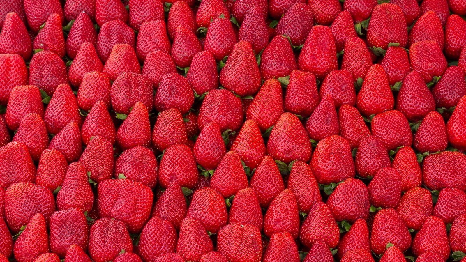 Обои еда, клубника, ягоды, изобилие, food, strawberry, berries, abundance разрешение 2560x1707 Загрузить