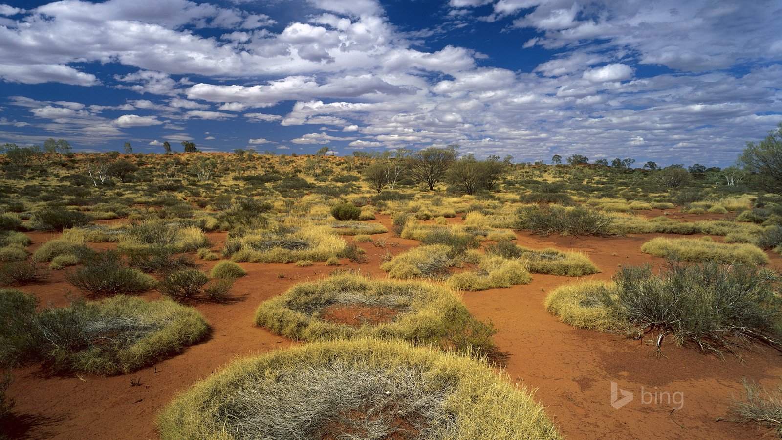 Обои небо, трава, облака, пустыня, австралия, кольца, the sky, grass, clouds, desert, australia, ring разрешение 1920x1200 Загрузить