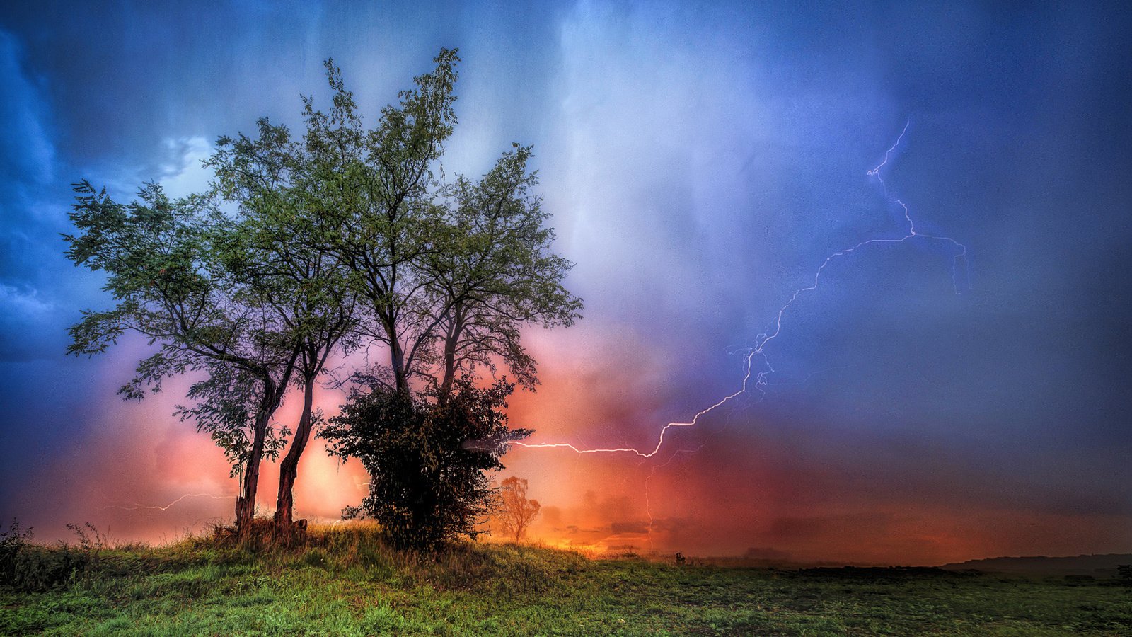 Обои деревья, вечер, природа, буря, молния, гроза, trees, the evening, nature, storm, lightning, the storm разрешение 1920x1200 Загрузить