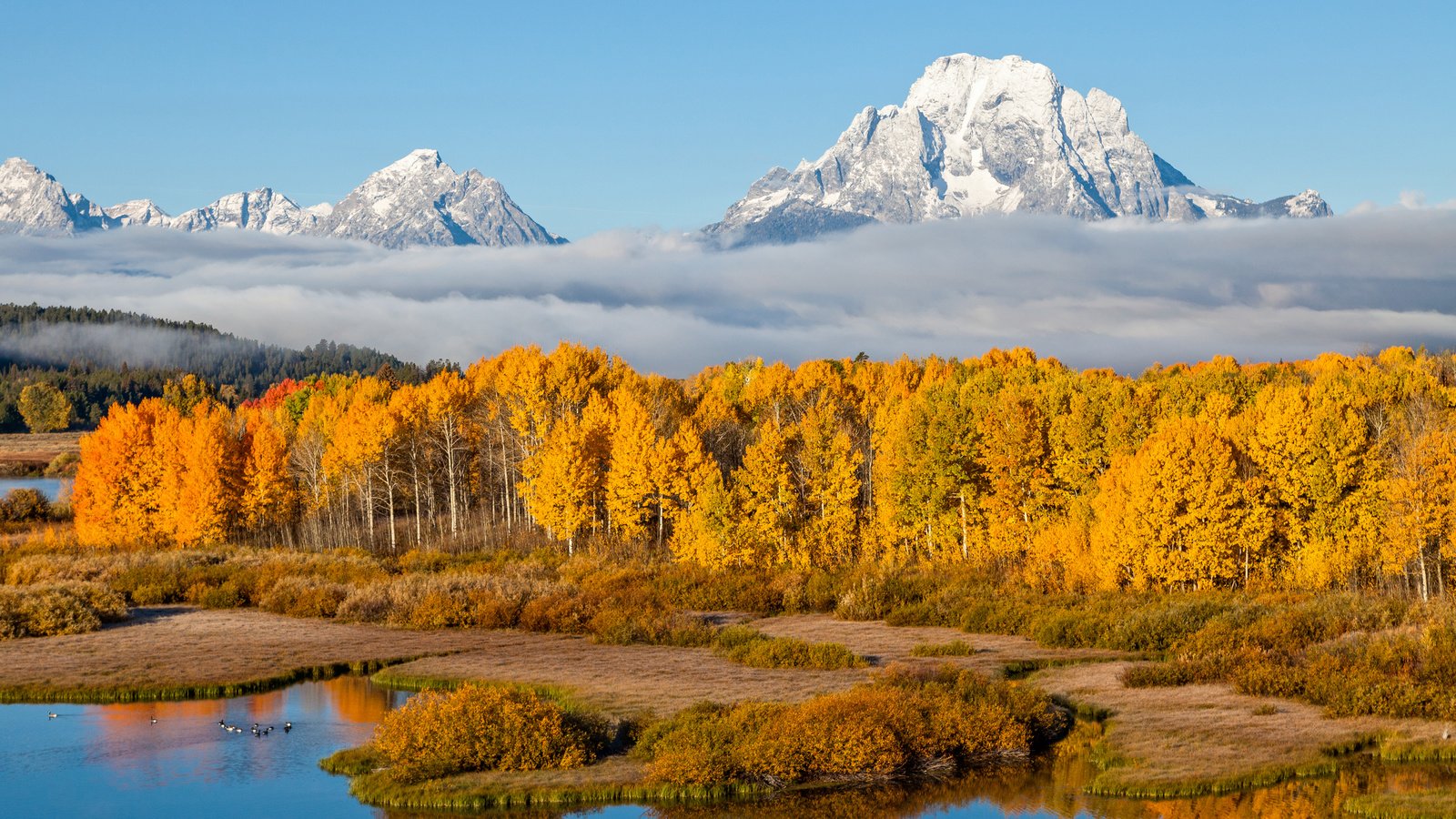 Обои небо, осень, деревья, река, горы, природа, лес, пейзаж, туман, the sky, autumn, trees, river, mountains, nature, forest, landscape, fog разрешение 3840x2400 Загрузить