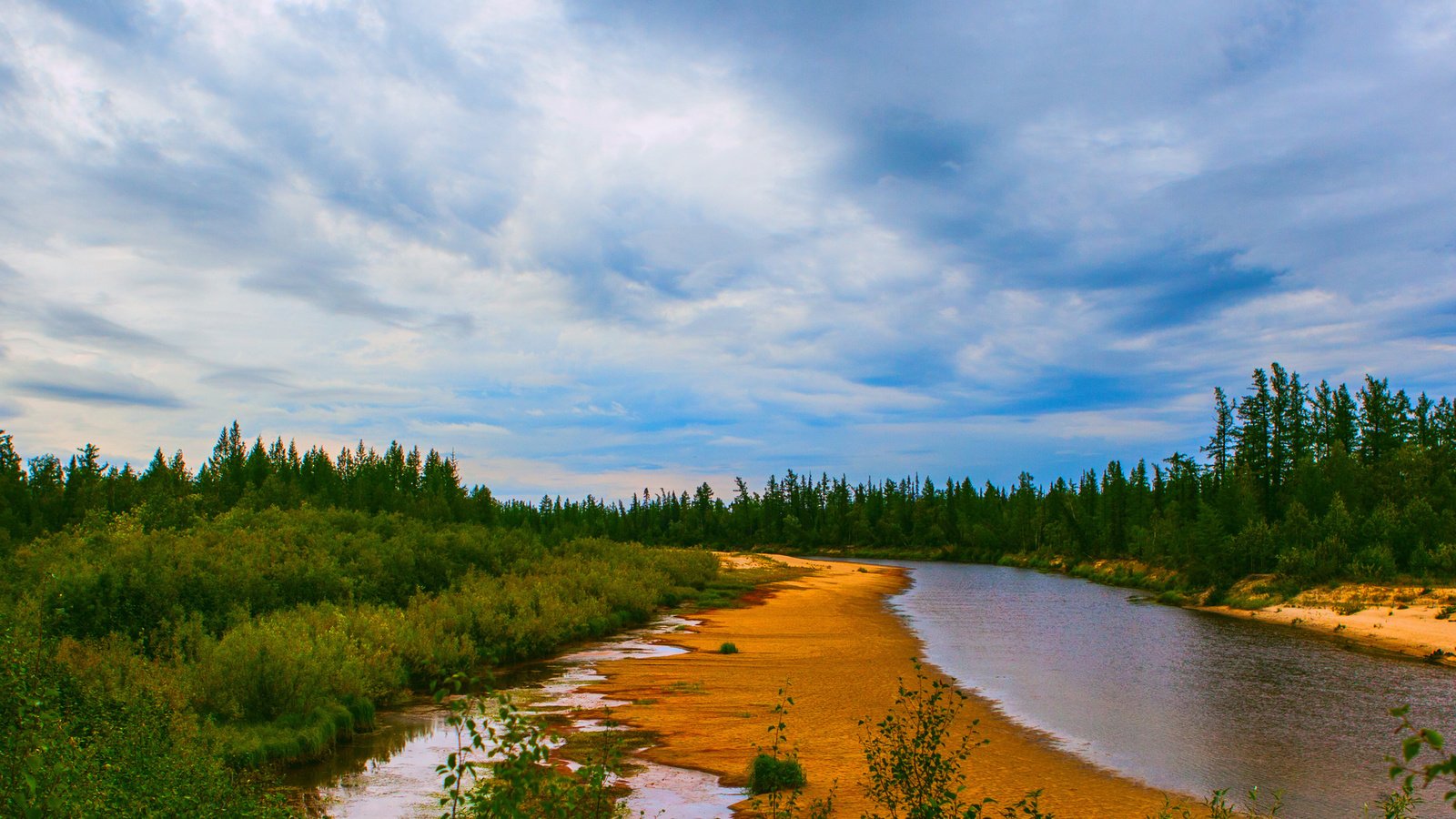 Обои вода, река, природа, берег, зелень, лес, елки, water, river, nature, shore, greens, forest, tree разрешение 1920x1200 Загрузить