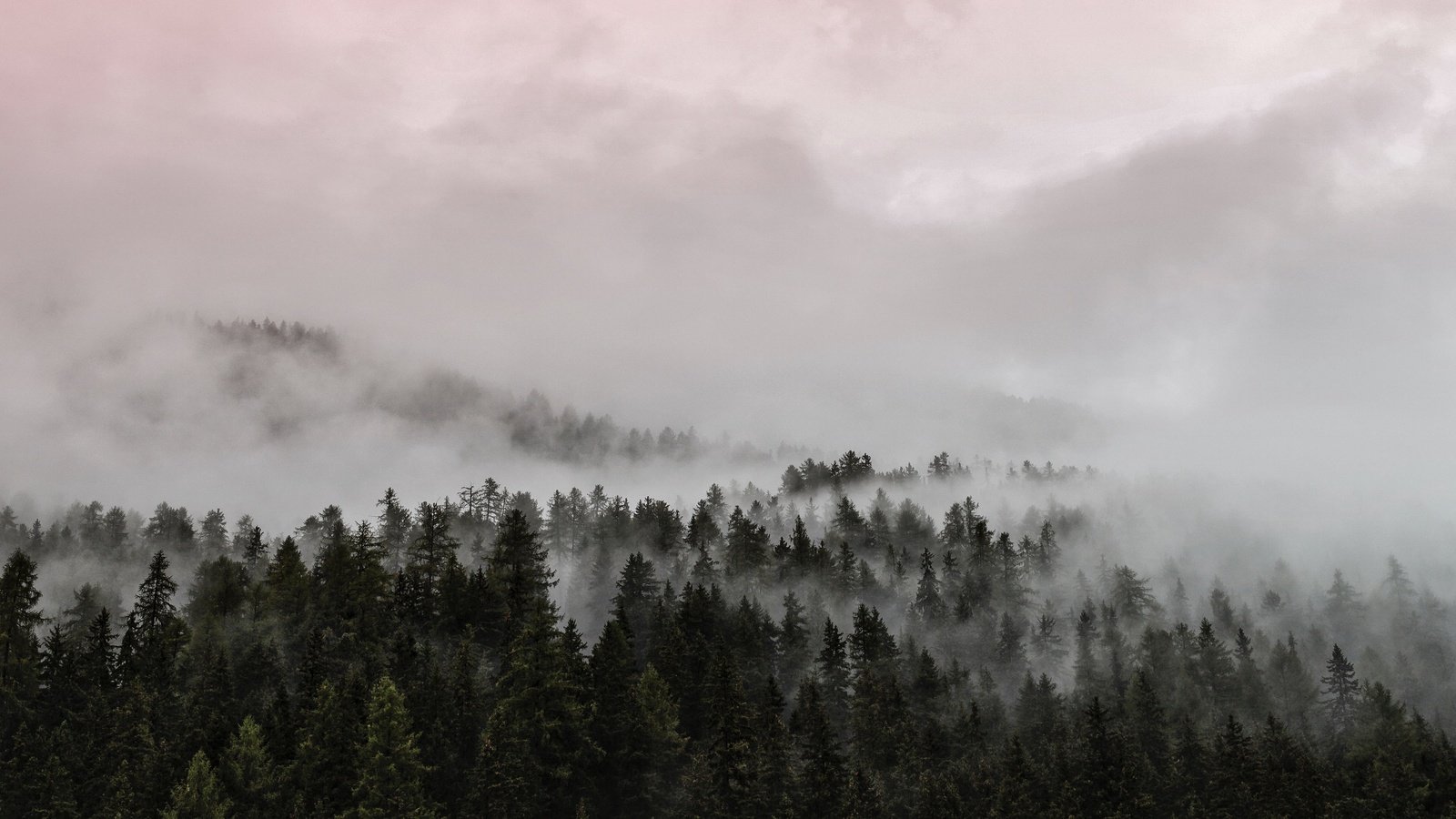 Обои облака, деревья, природа, лес, закат, туман, clouds, trees, nature, forest, sunset, fog разрешение 3840x2400 Загрузить