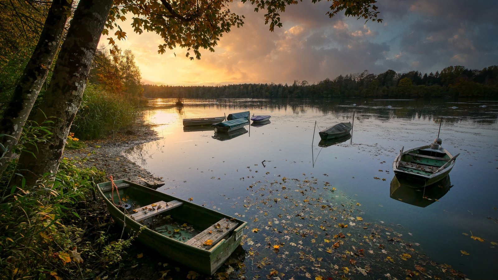 Обои берег, осень, лодки, водоем, shore, autumn, boats, pond разрешение 5184x3456 Загрузить