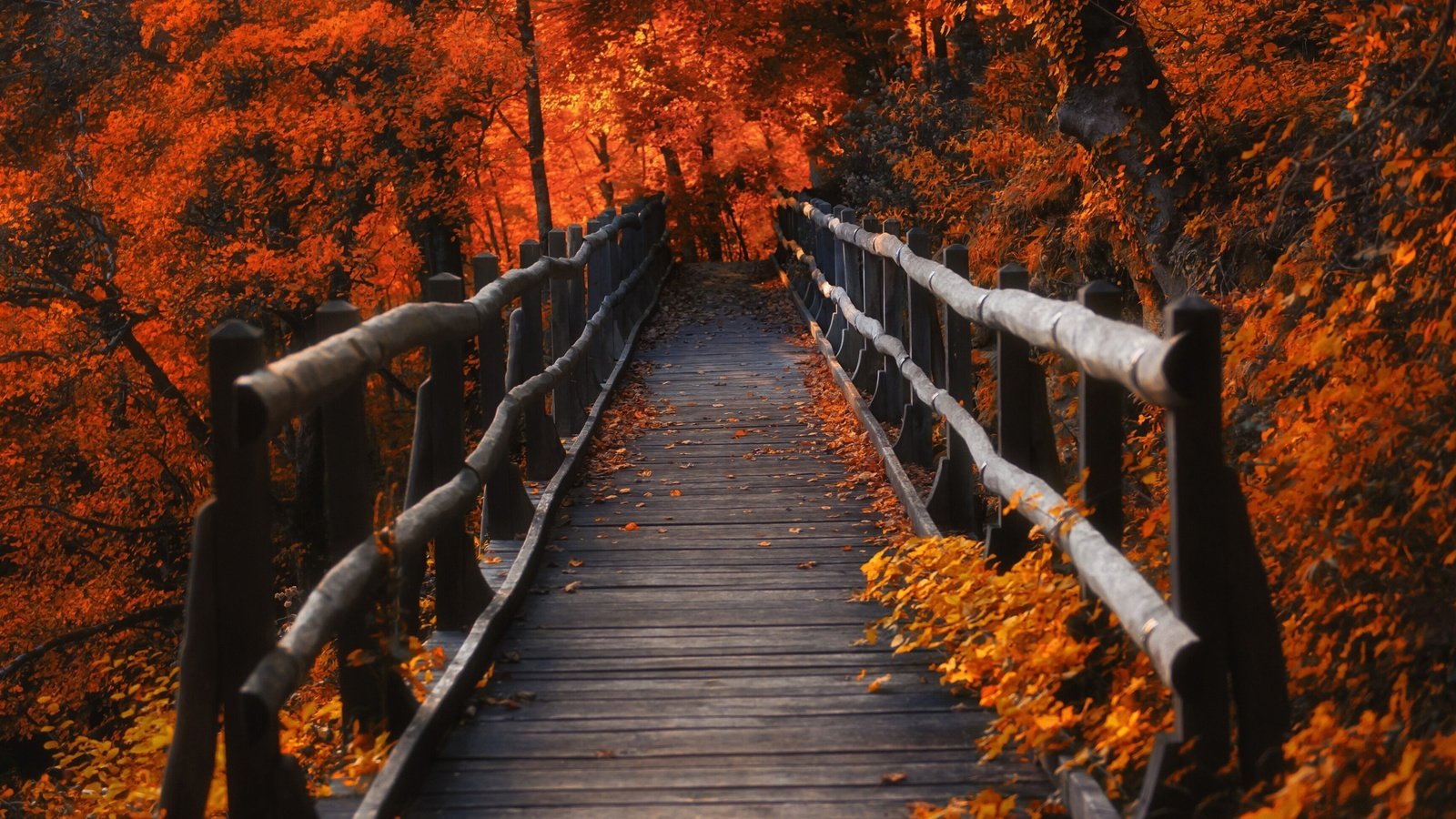 Обои мостик, листья, осень, the bridge, leaves, autumn разрешение 2880x1800 Загрузить