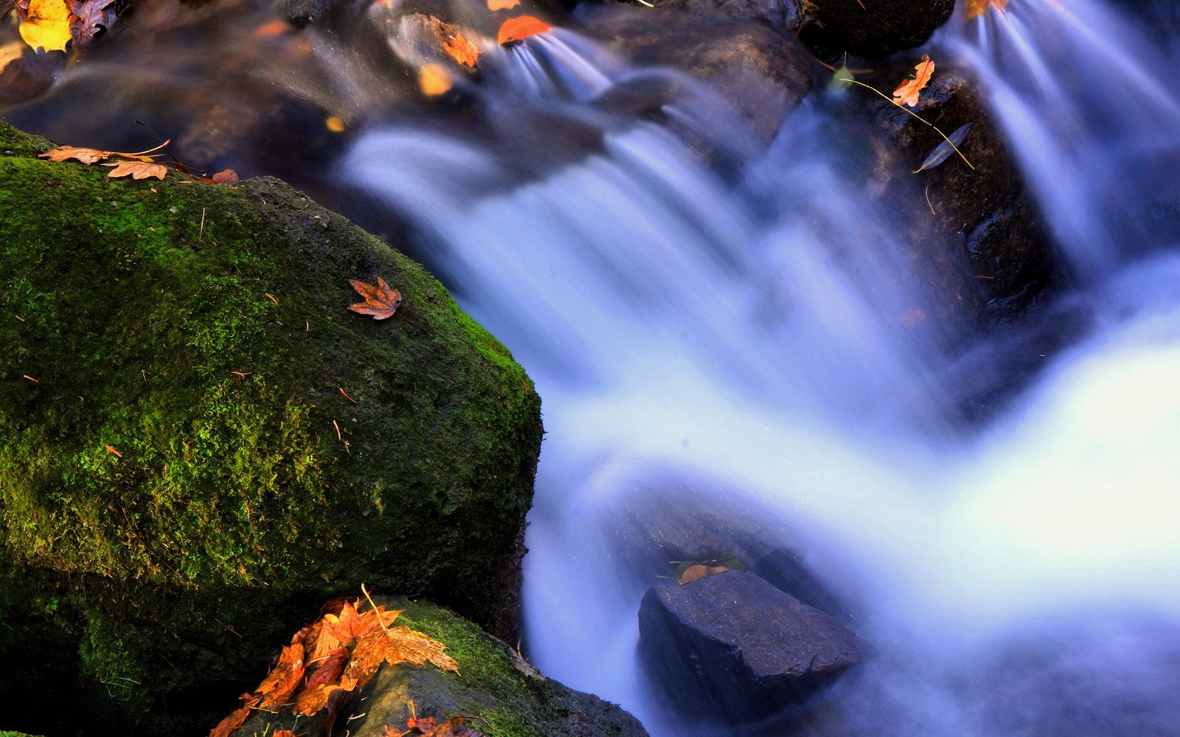 Обои вода, листья, мох, стихии, water, leaves, moss, elements разрешение 2300x1550 Загрузить