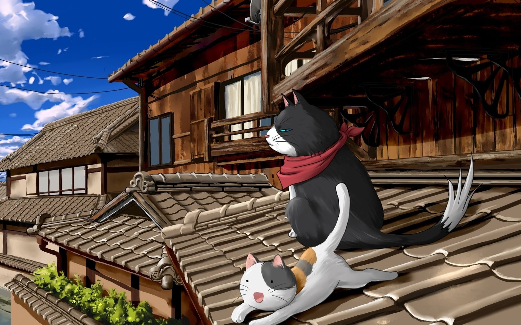 Обои коты, крыша, nyan koi, cats, roof разрешение 1920x1080 Загрузить