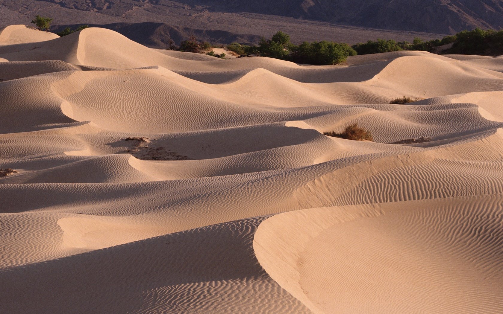 Обои песок, пустыня, барханы, sand, desert, the dunes разрешение 2295x1536 Загрузить