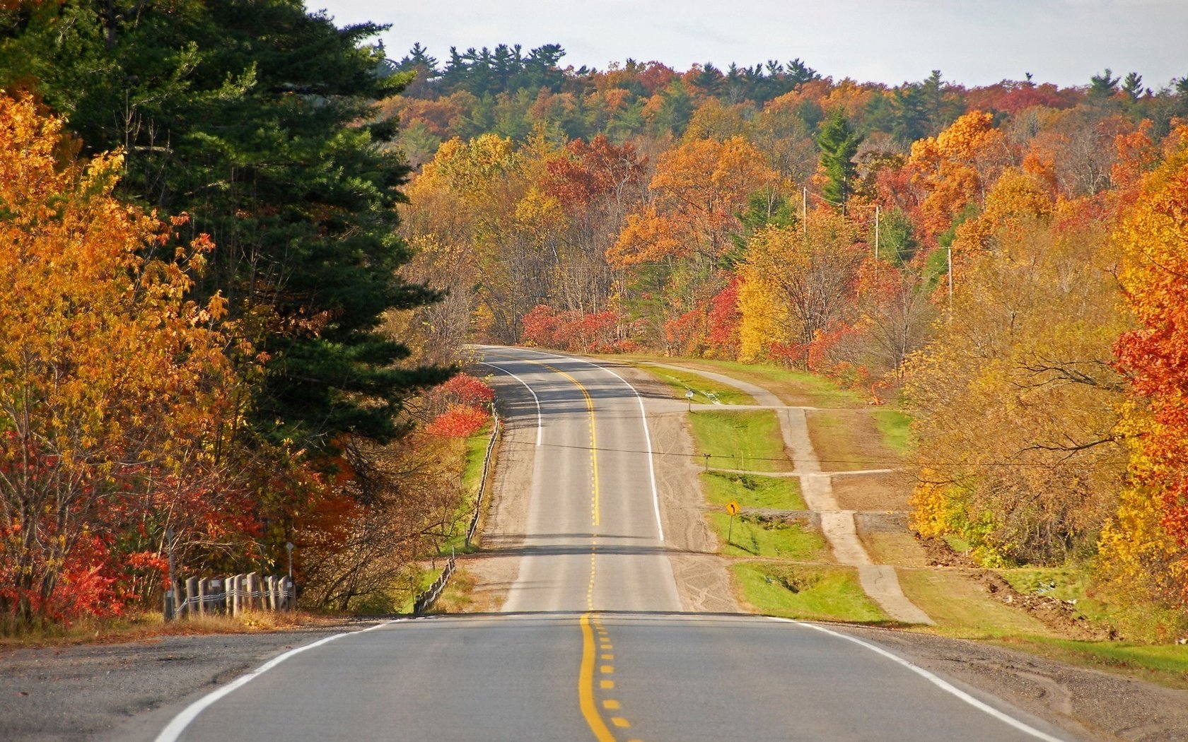 Обои дорога, деревья, осень, road, trees, autumn разрешение 1920x1200 Загрузить