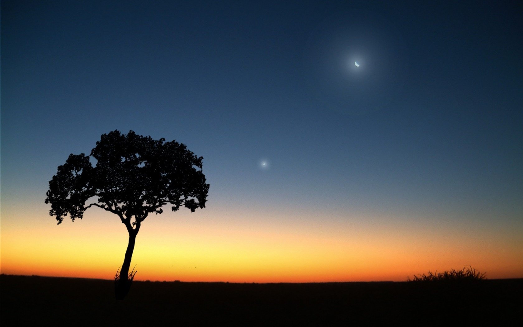 Обои вечер, дерево, луна, the evening, tree, the moon разрешение 2048x1536 Загрузить