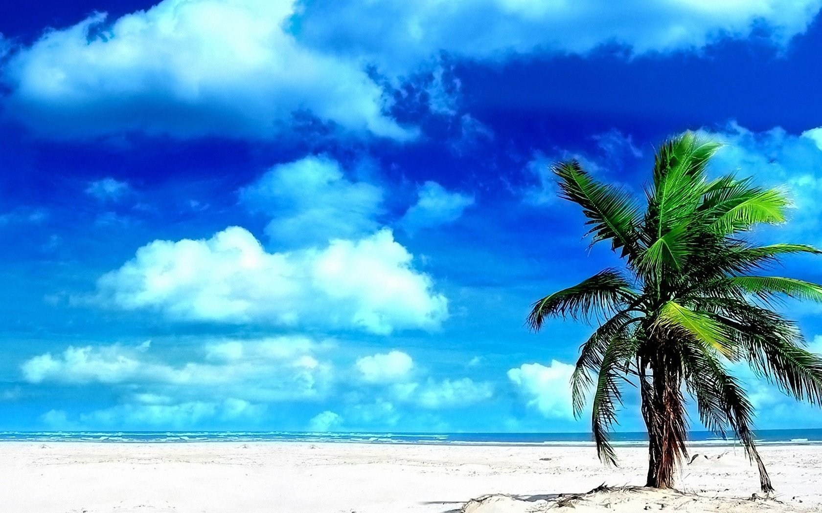 Обои небо, облака, песок, пляж, голубой, пальма, the sky, clouds, sand, beach, blue, palma разрешение 1920x1080 Загрузить